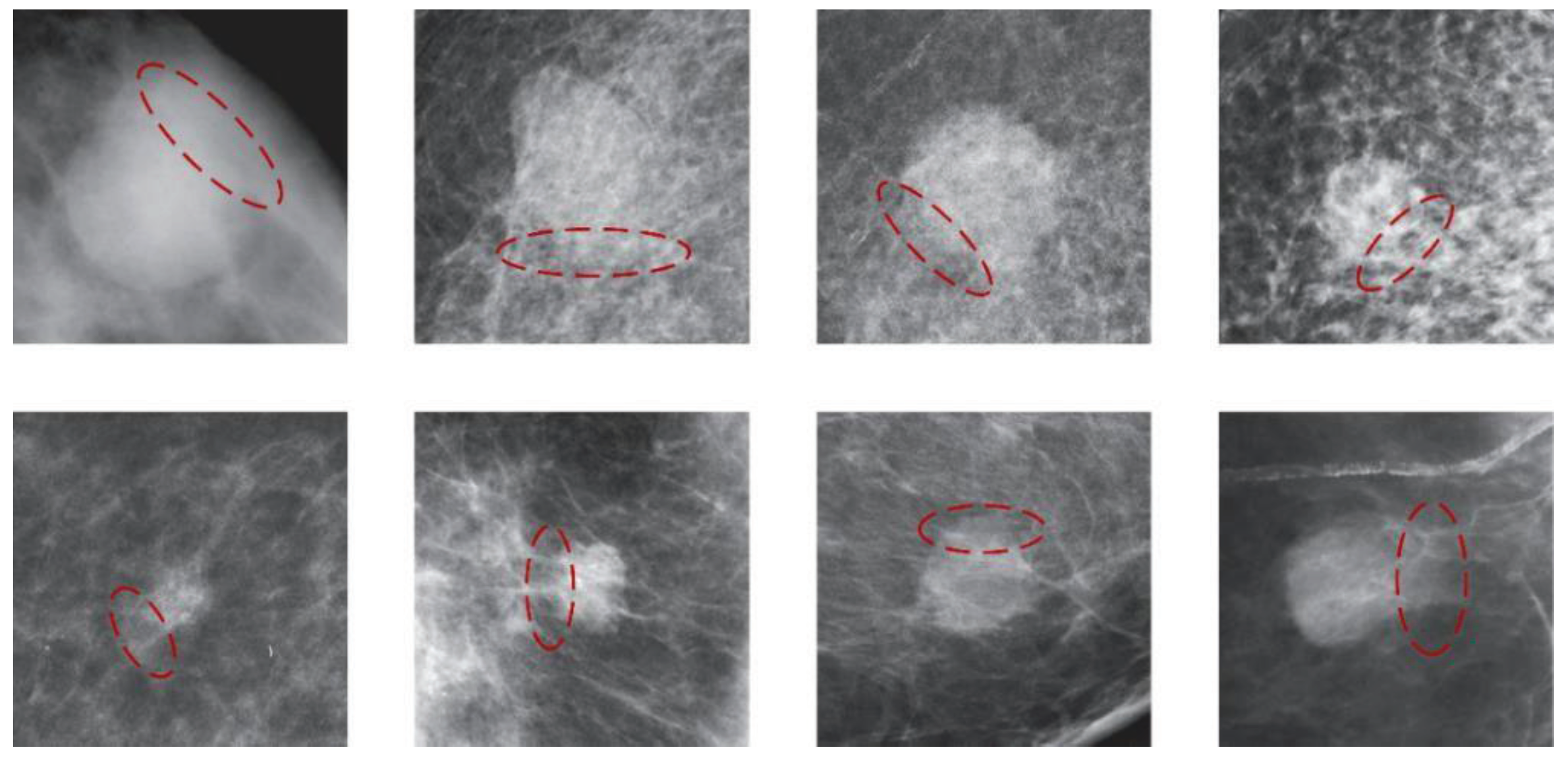 Bioengineering 12 00196 g001
