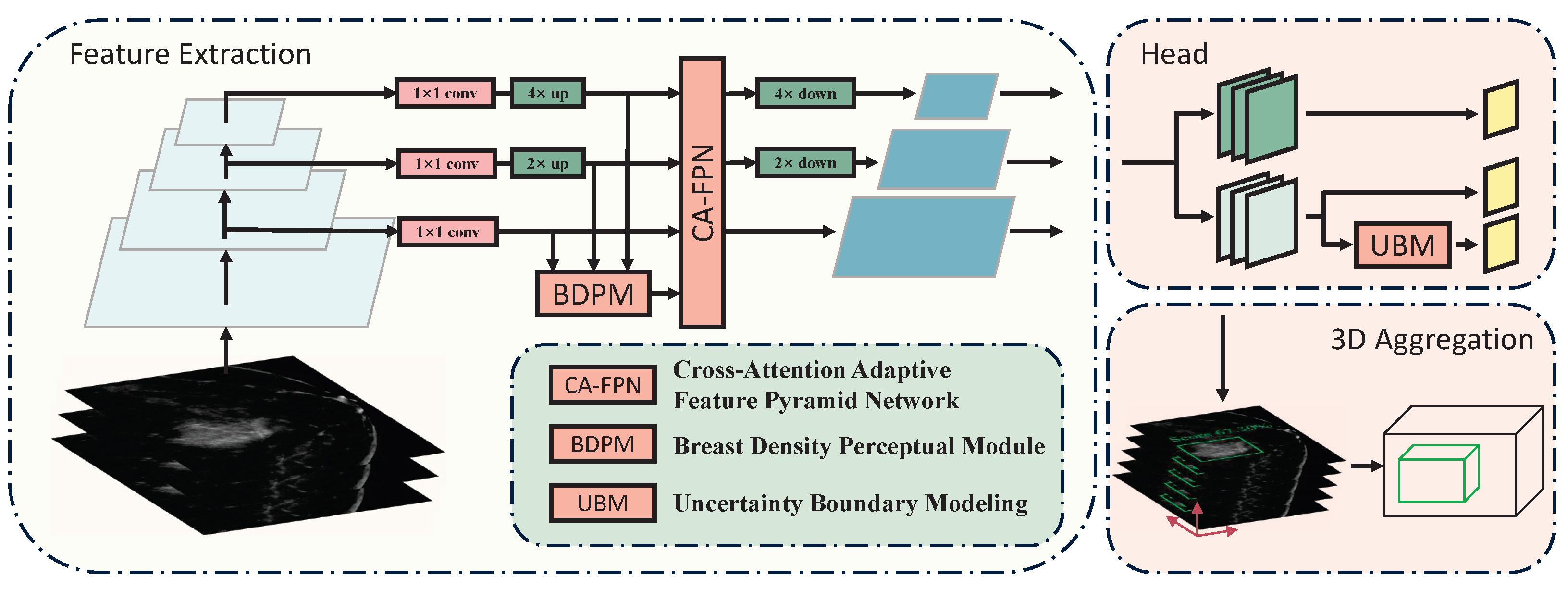 Bioengineering 12 00196 g002