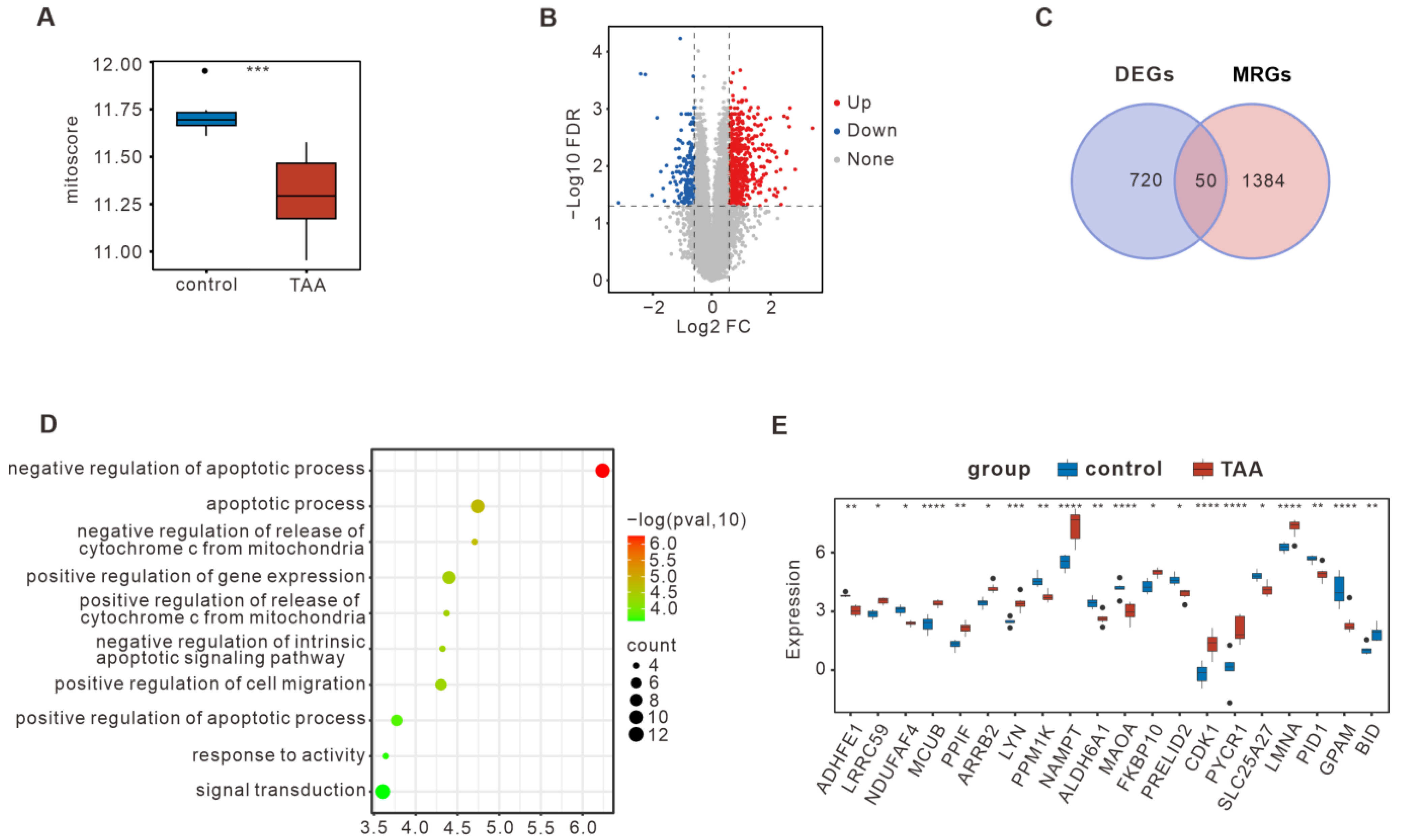 Bioengineering 12 00197 g001