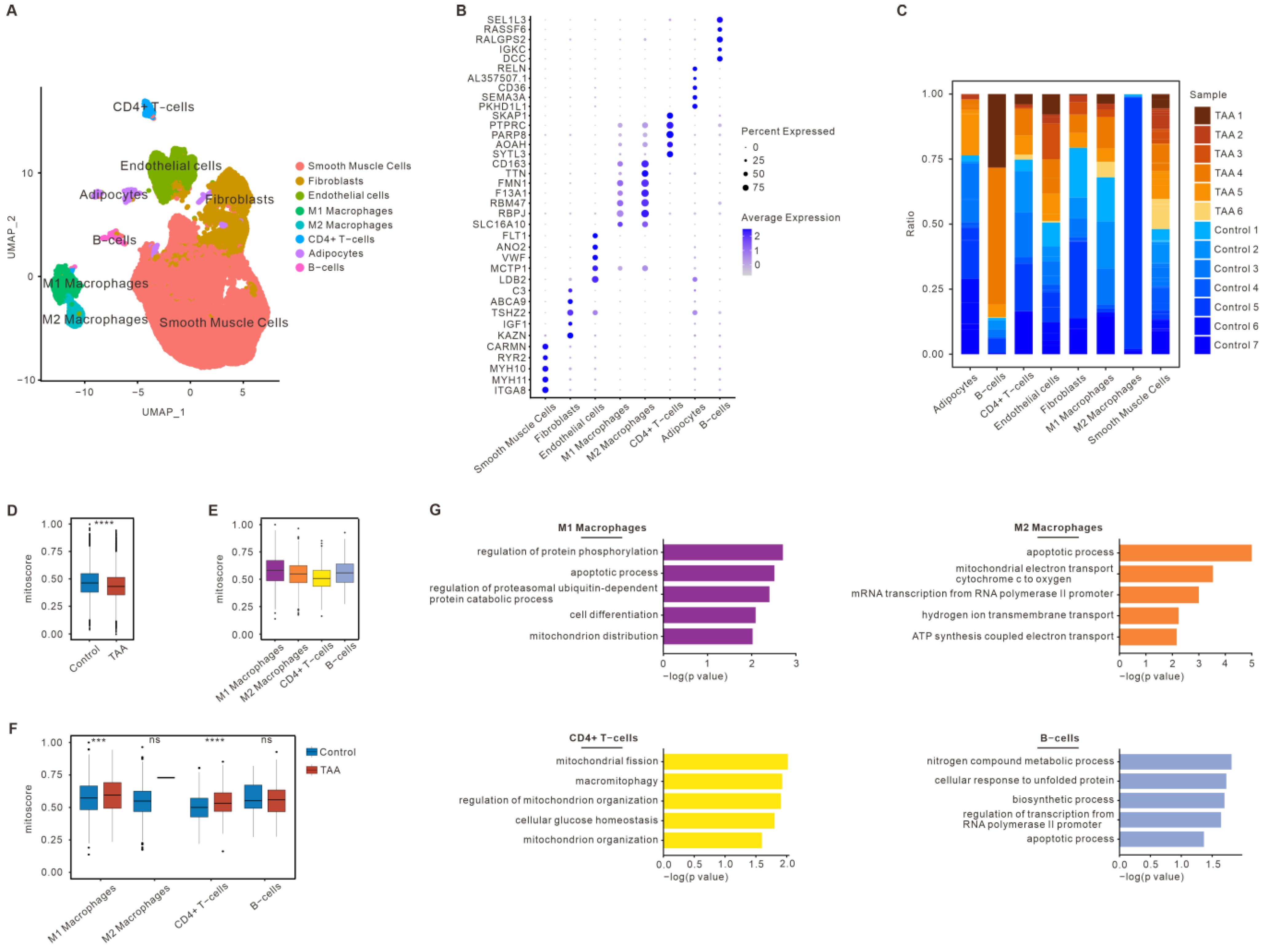 Bioengineering 12 00197 g002
