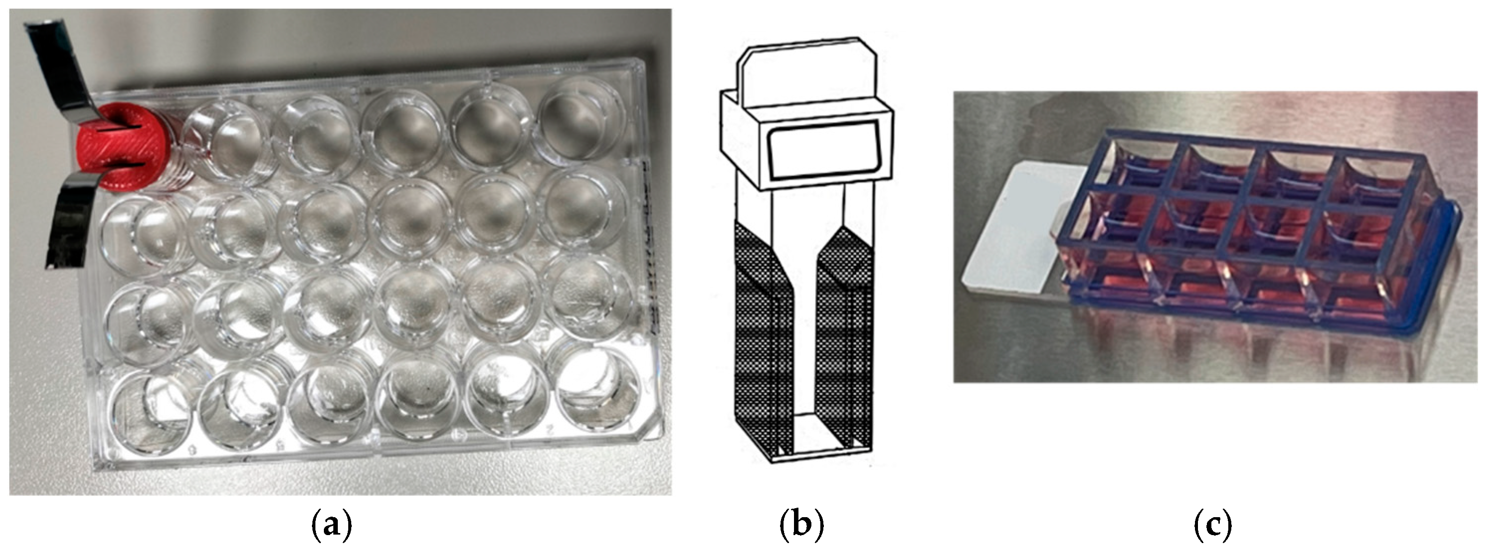 Bioengineering 12 00203 g001