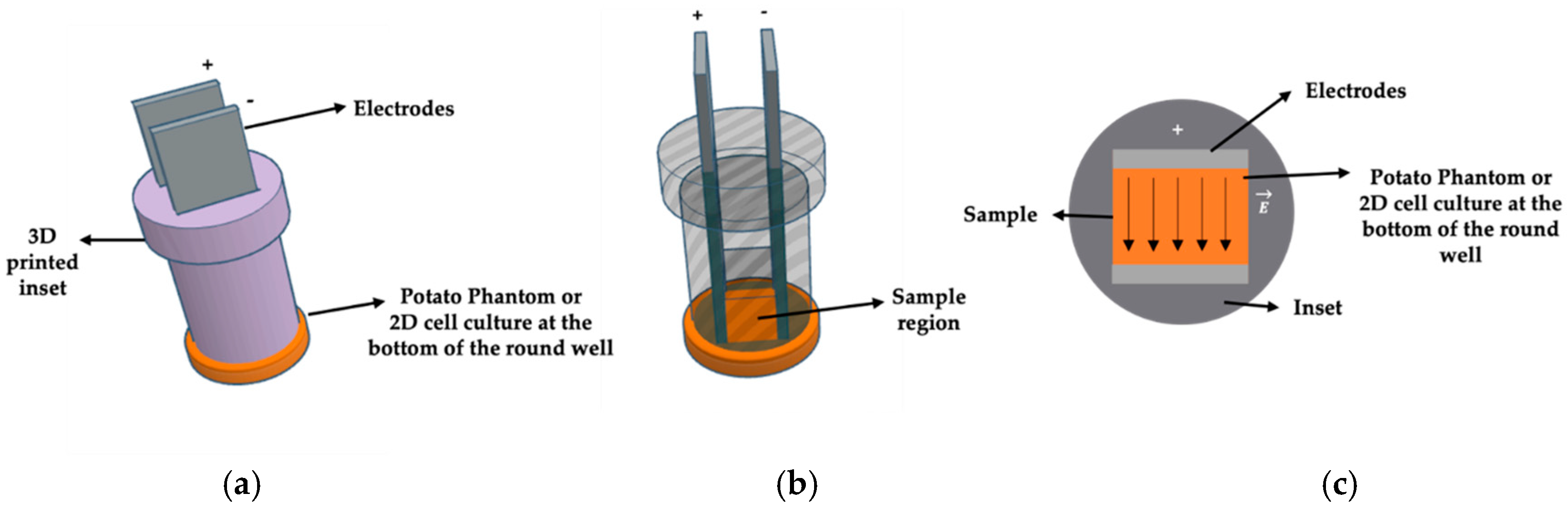 Bioengineering 12 00203 g002