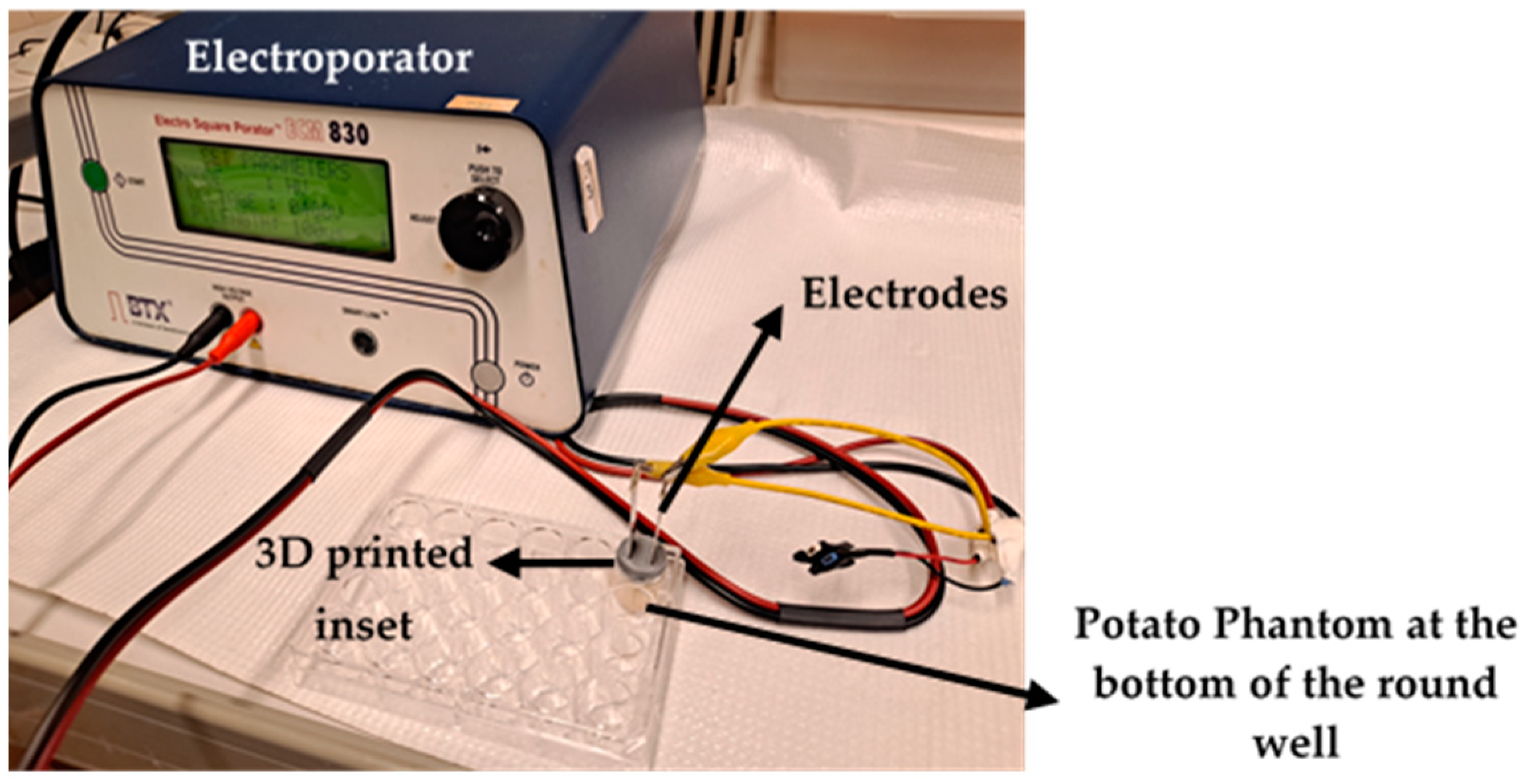 Bioengineering 12 00203 g006