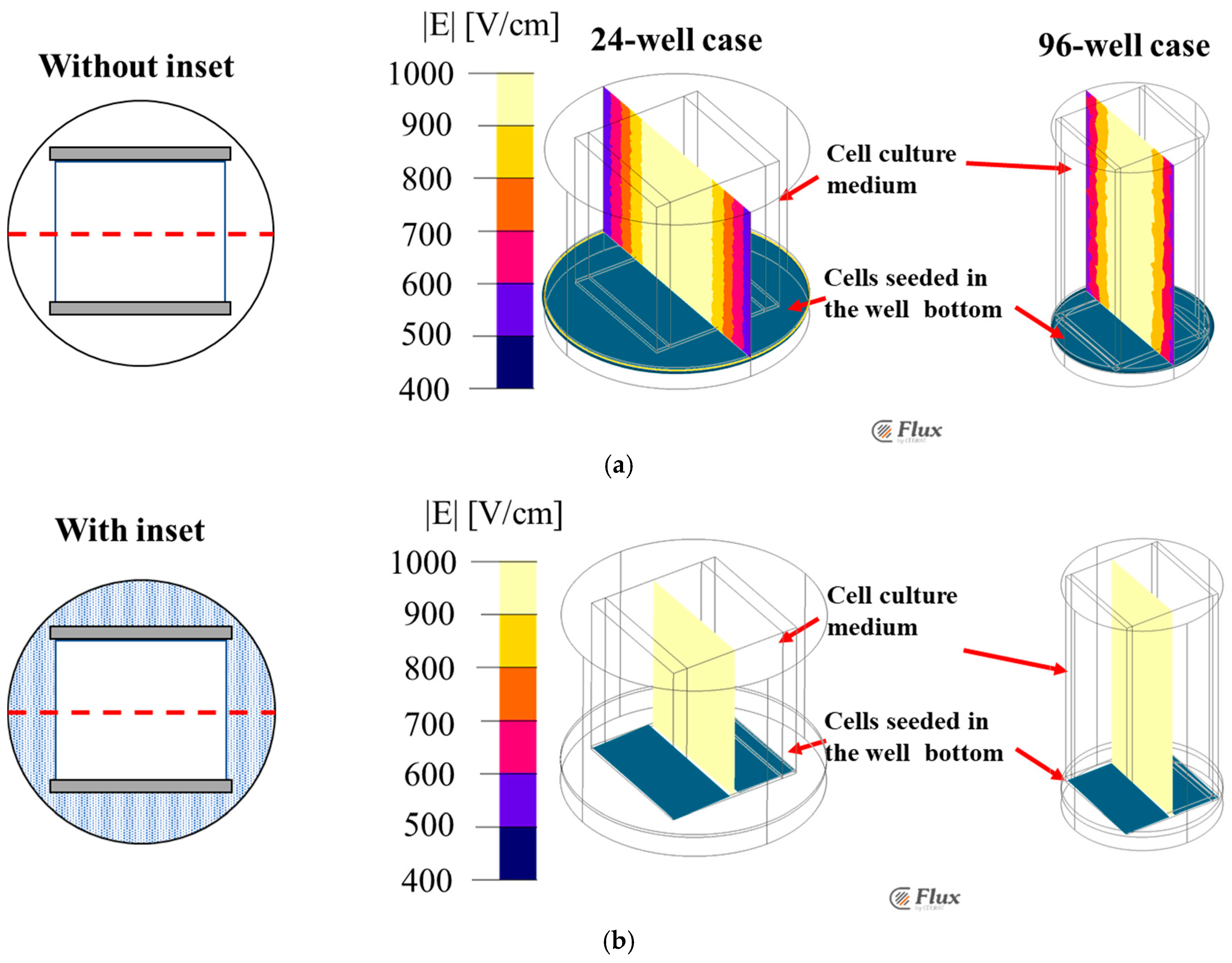 Bioengineering 12 00203 g007