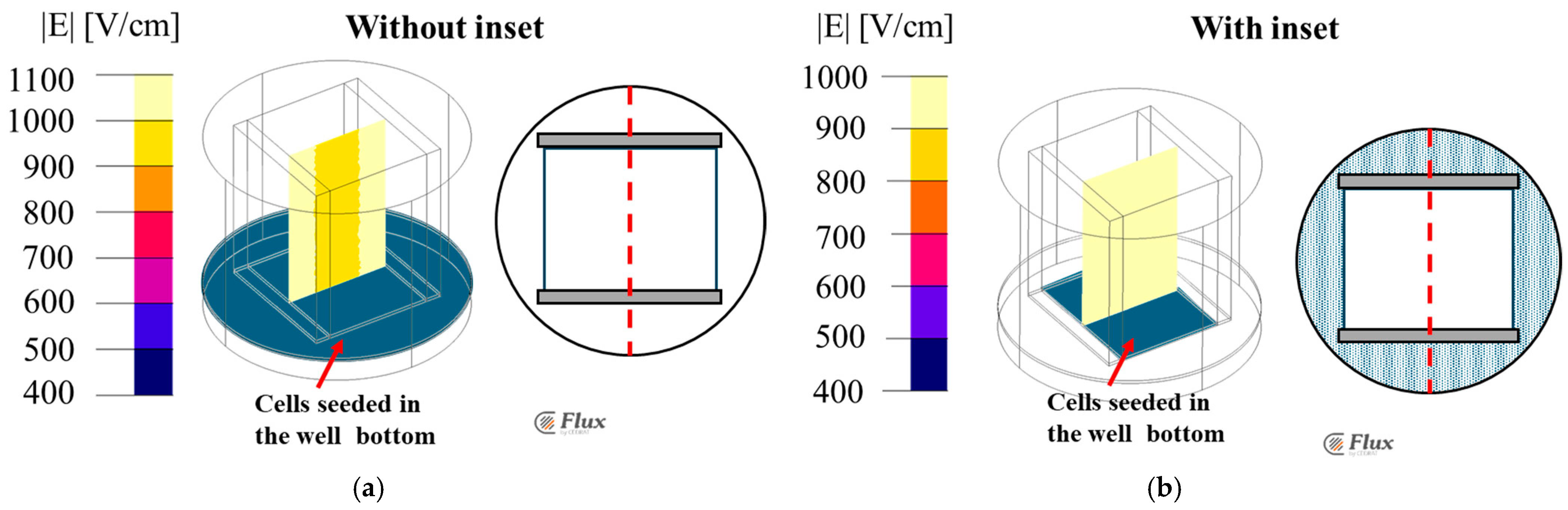 Bioengineering 12 00203 g008
