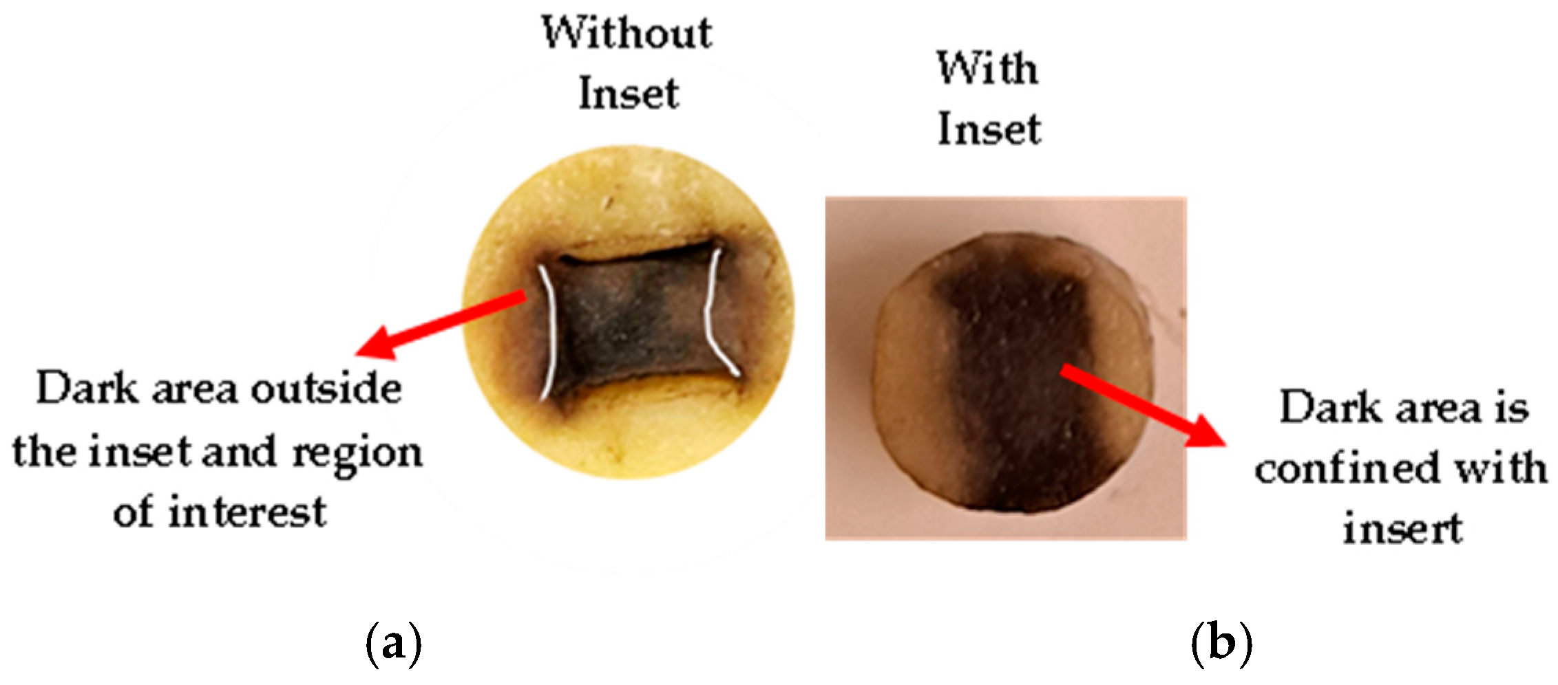 Bioengineering 12 00203 g013