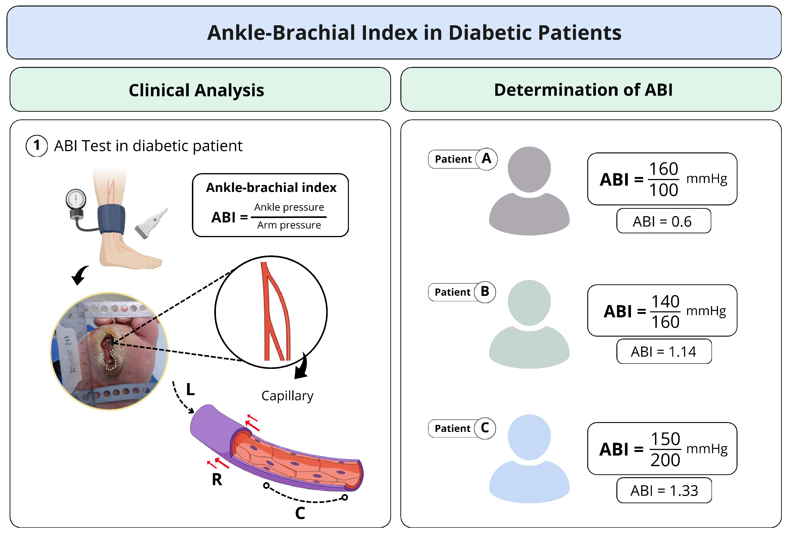 Bioengineering 12 00206 g001