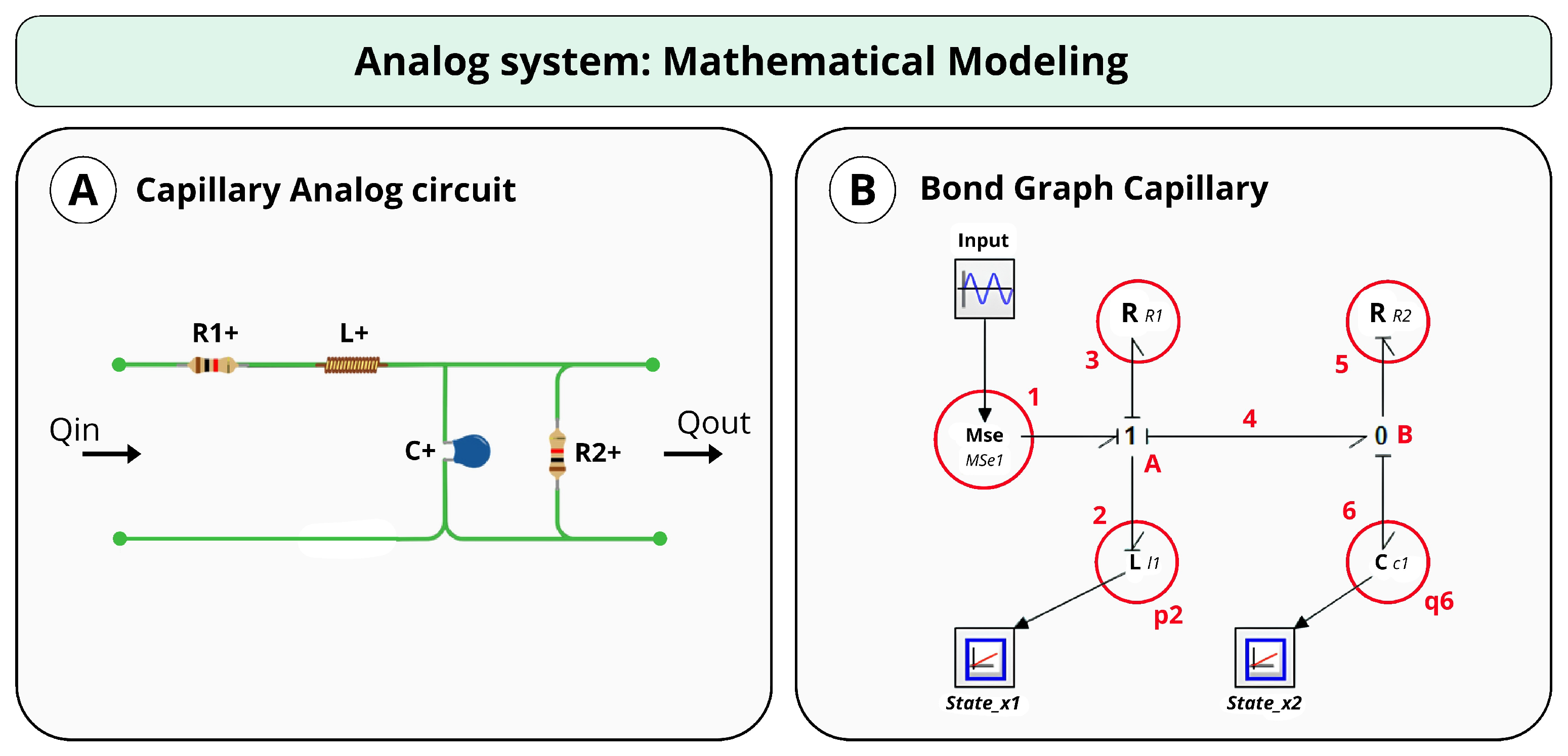 Bioengineering 12 00206 g002