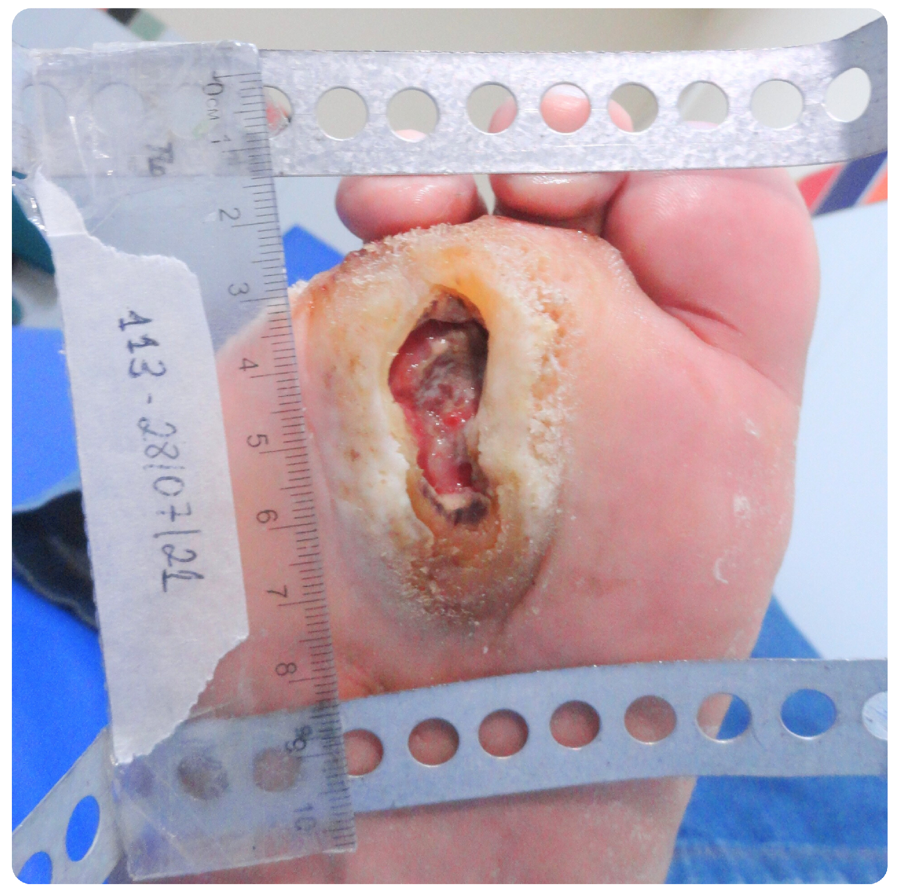 Bioengineering 12 00206 g005