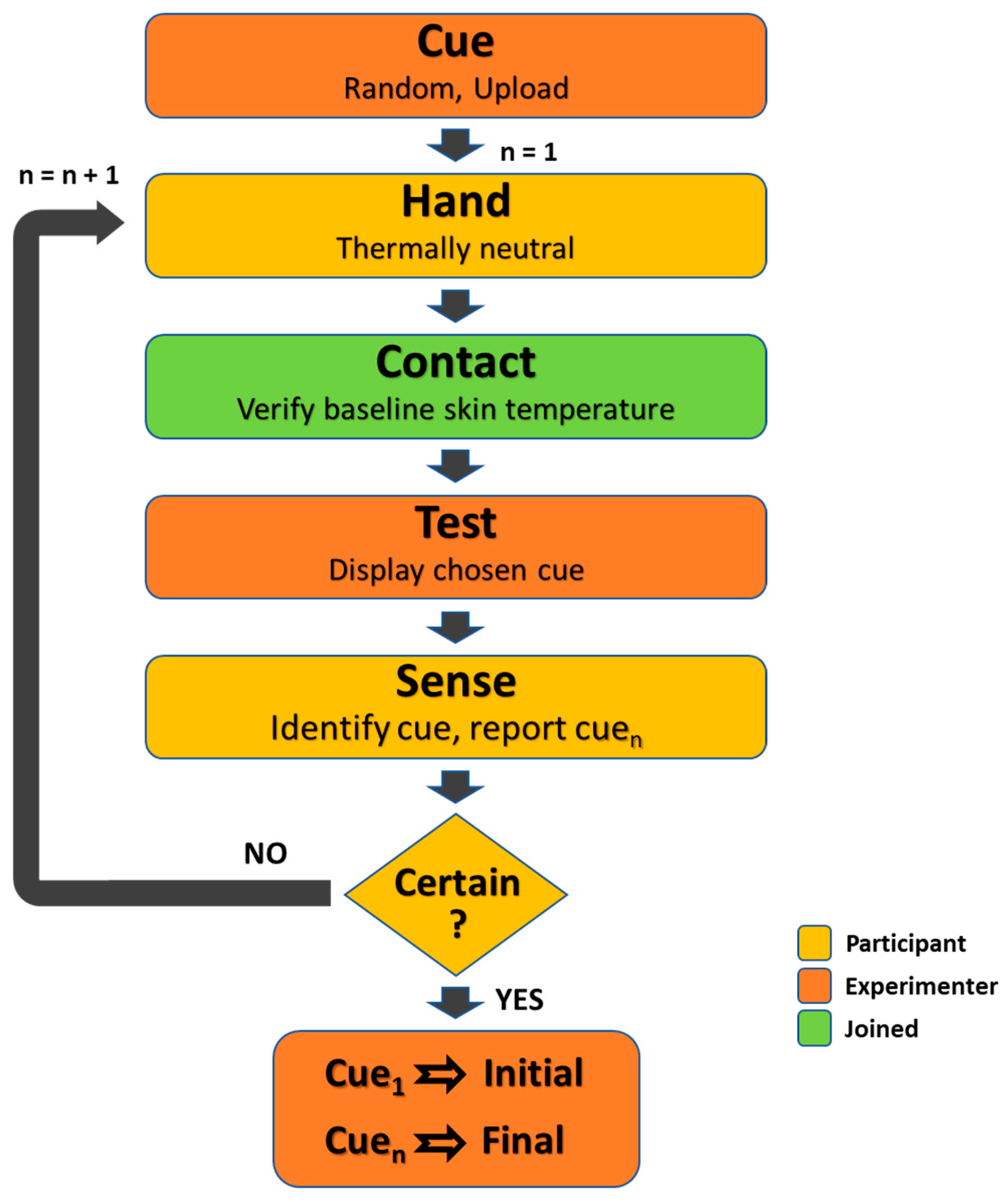 Bioengineering 12 00209 g005
