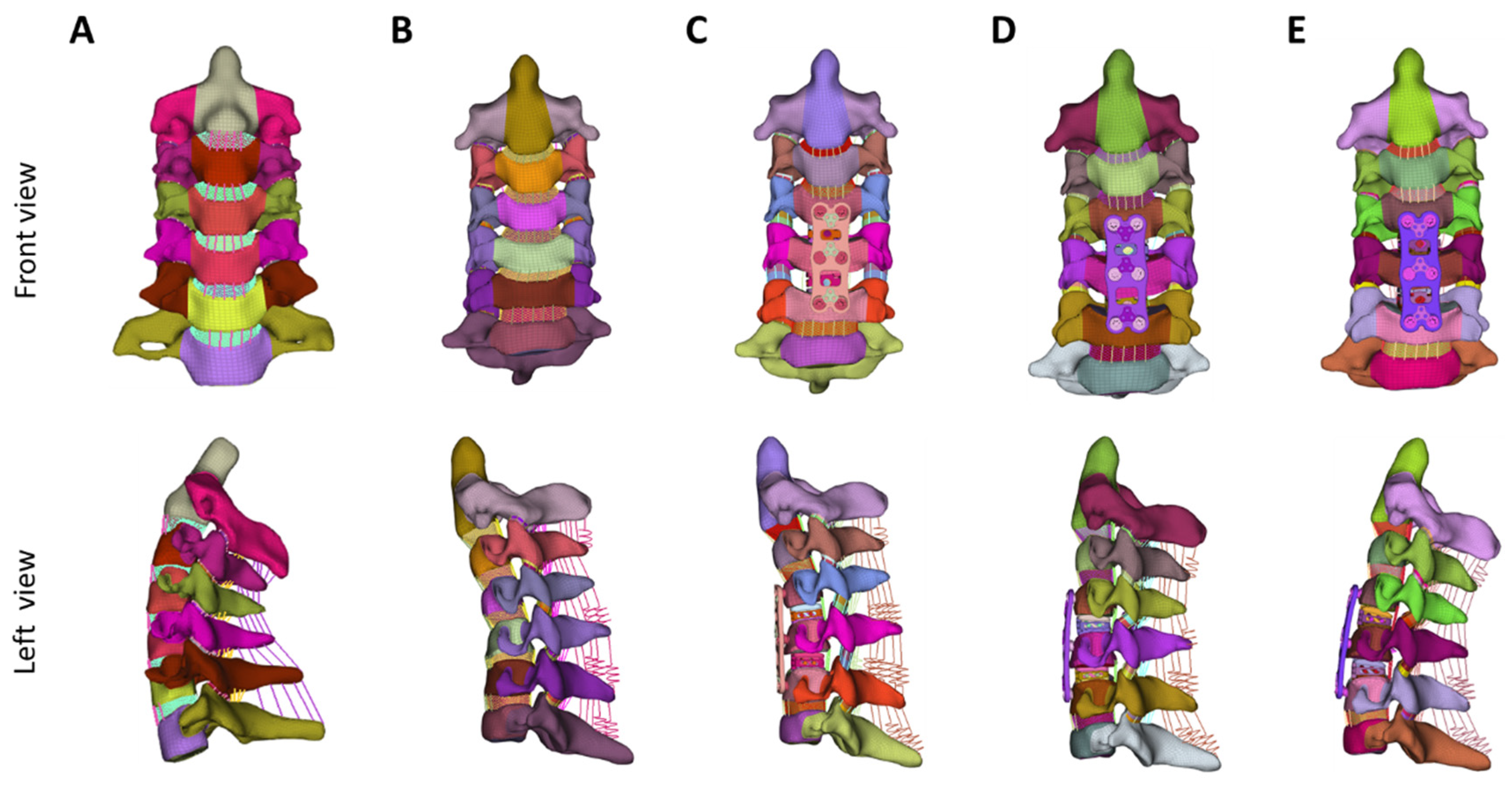 Bioengineering 12 00213 g001