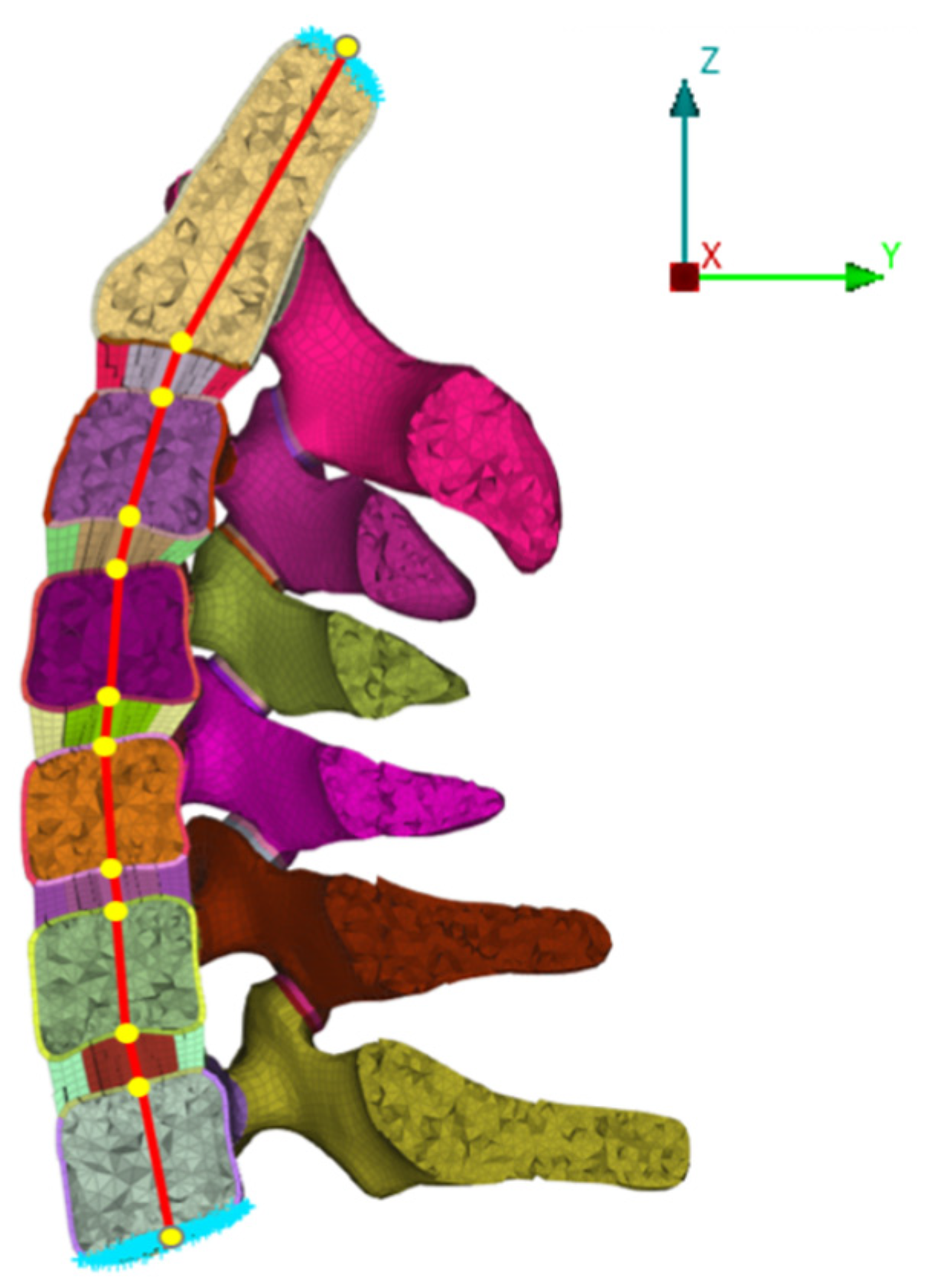 Bioengineering 12 00213 g002