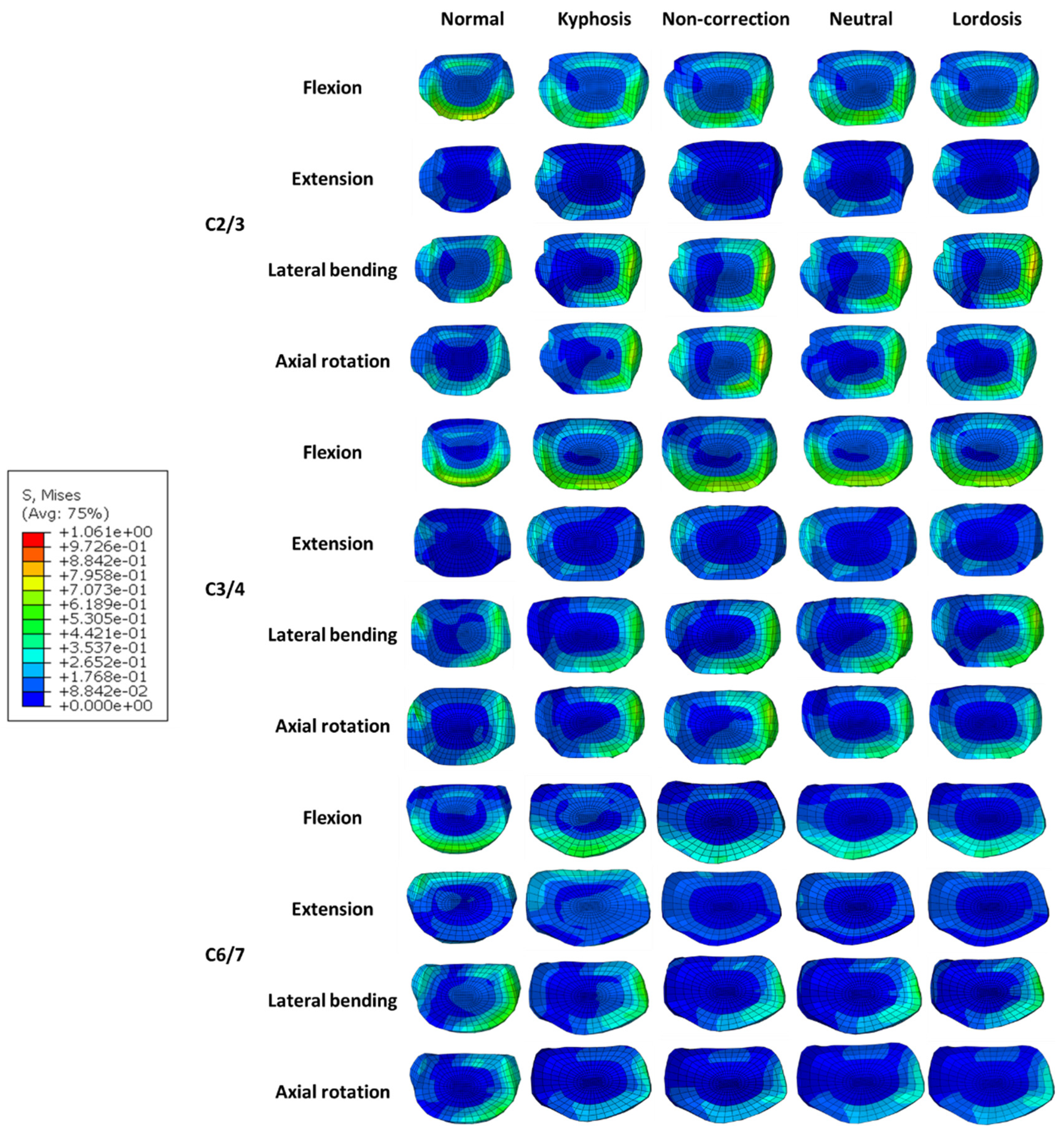 Bioengineering 12 00213 g007