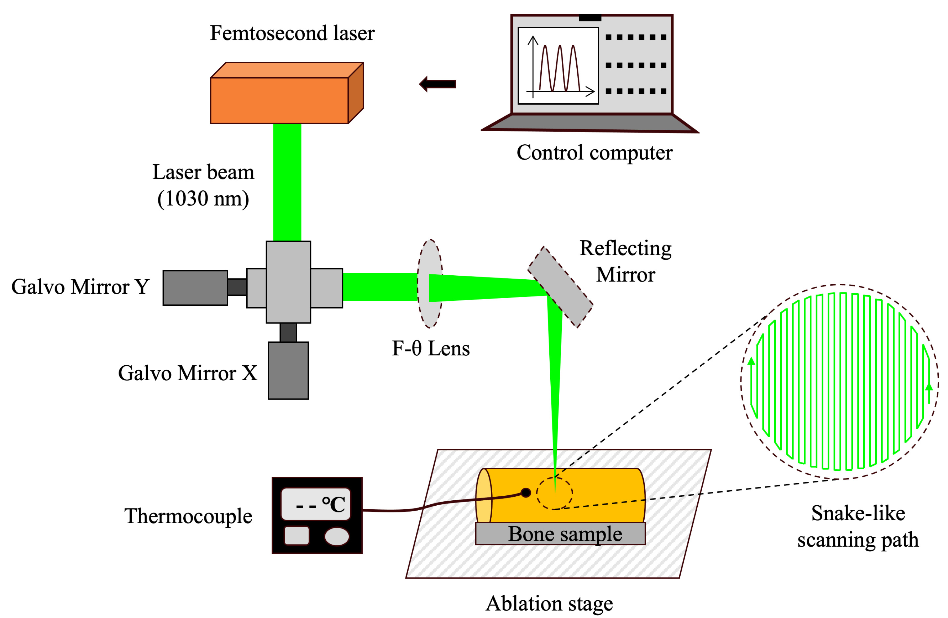 Bioengineering 12 00217 g001