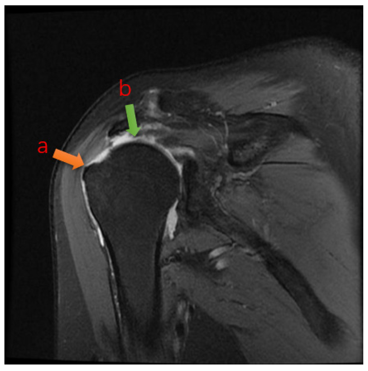 Bioengineering 12 00218 g001