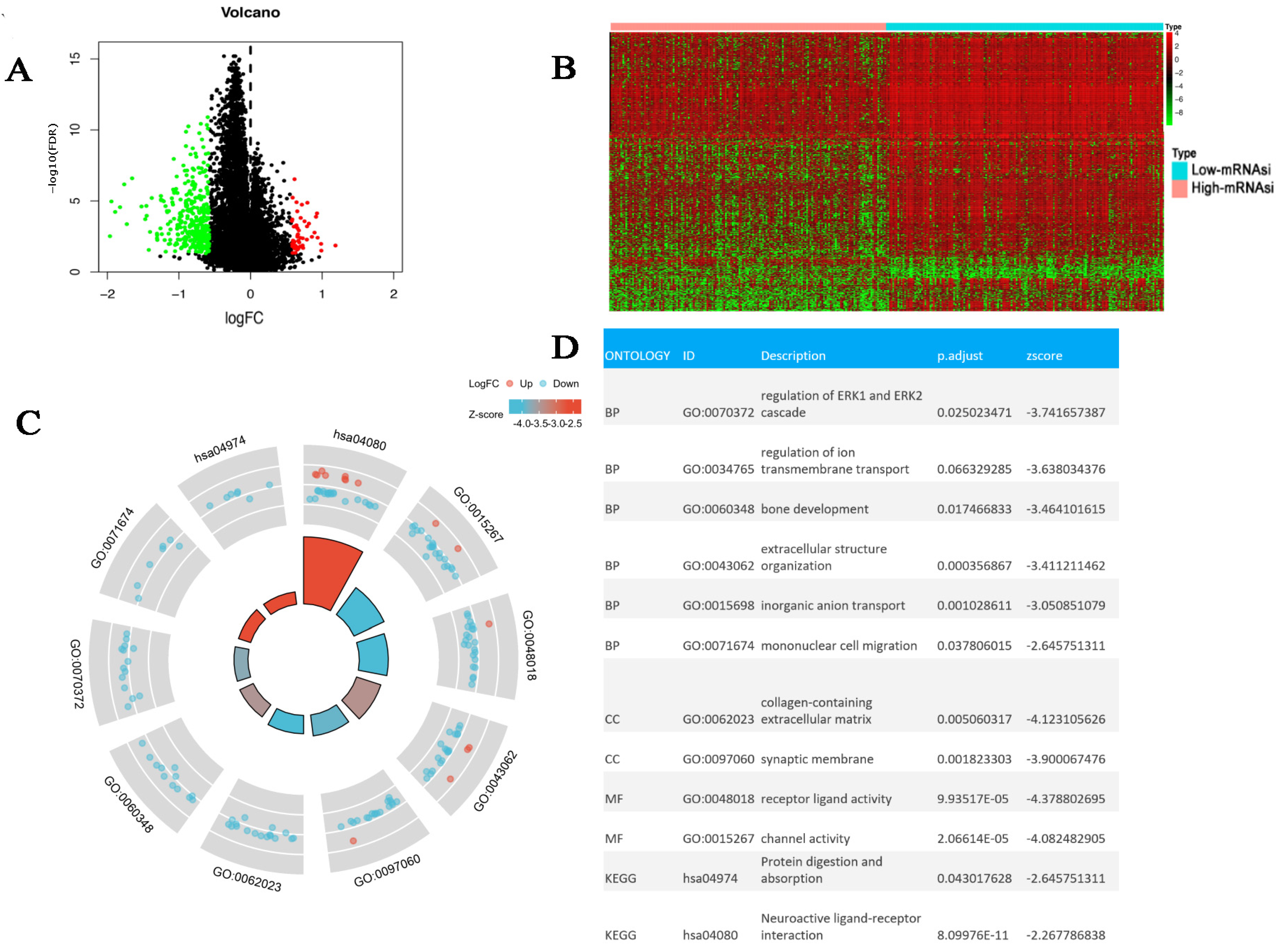 Bioengineering 12 00219 g005