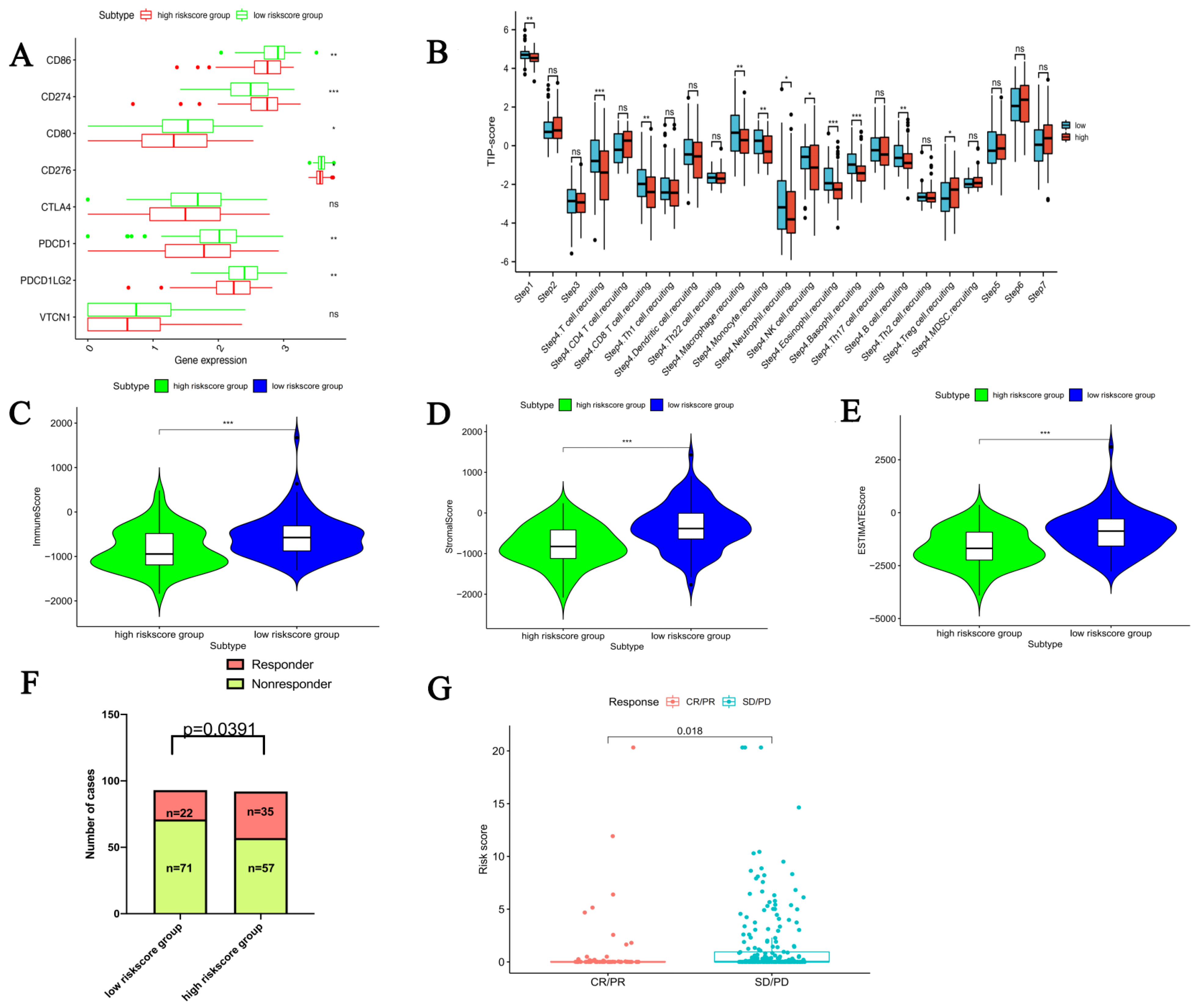 Bioengineering 12 00219 g008