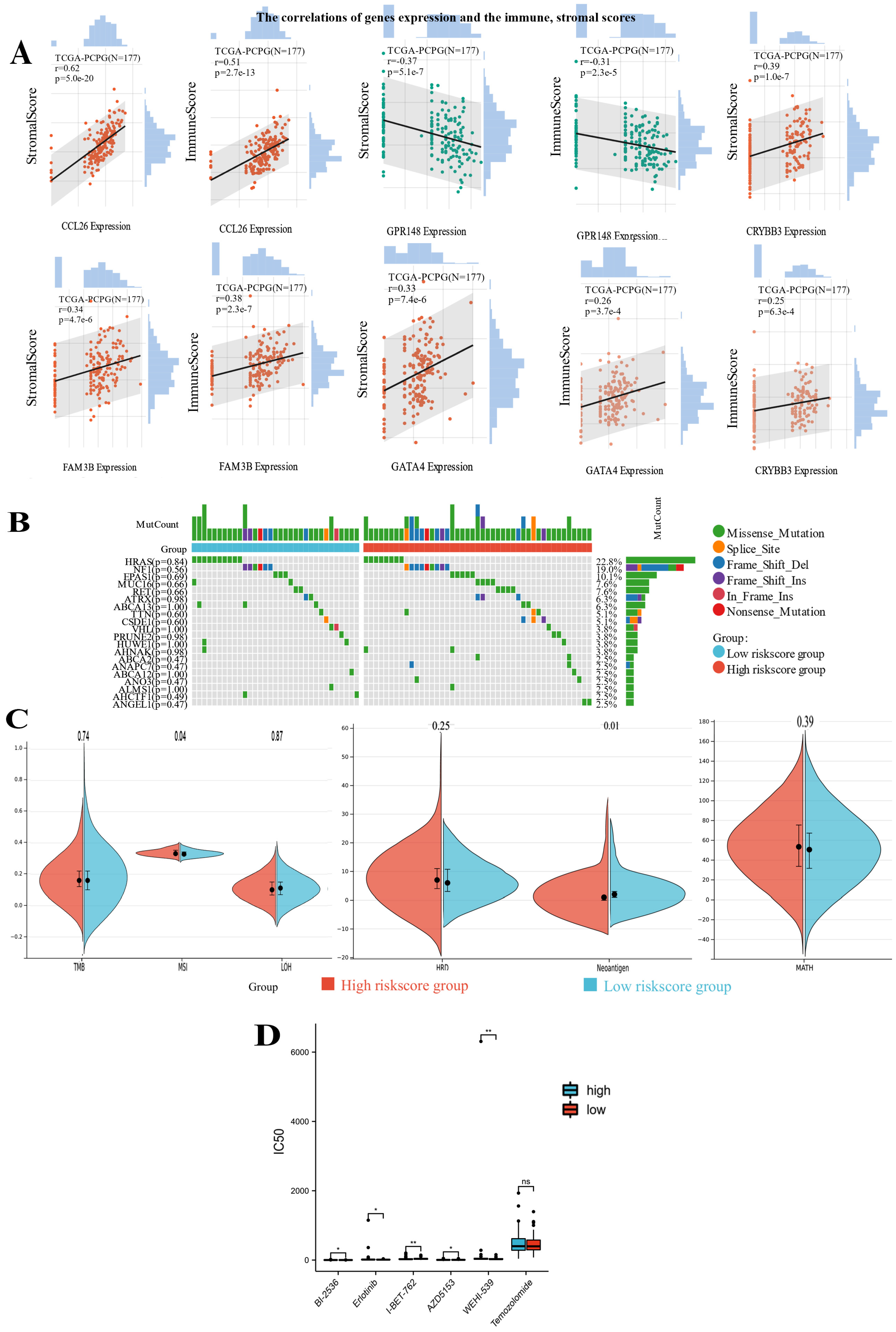Bioengineering 12 00219 g009