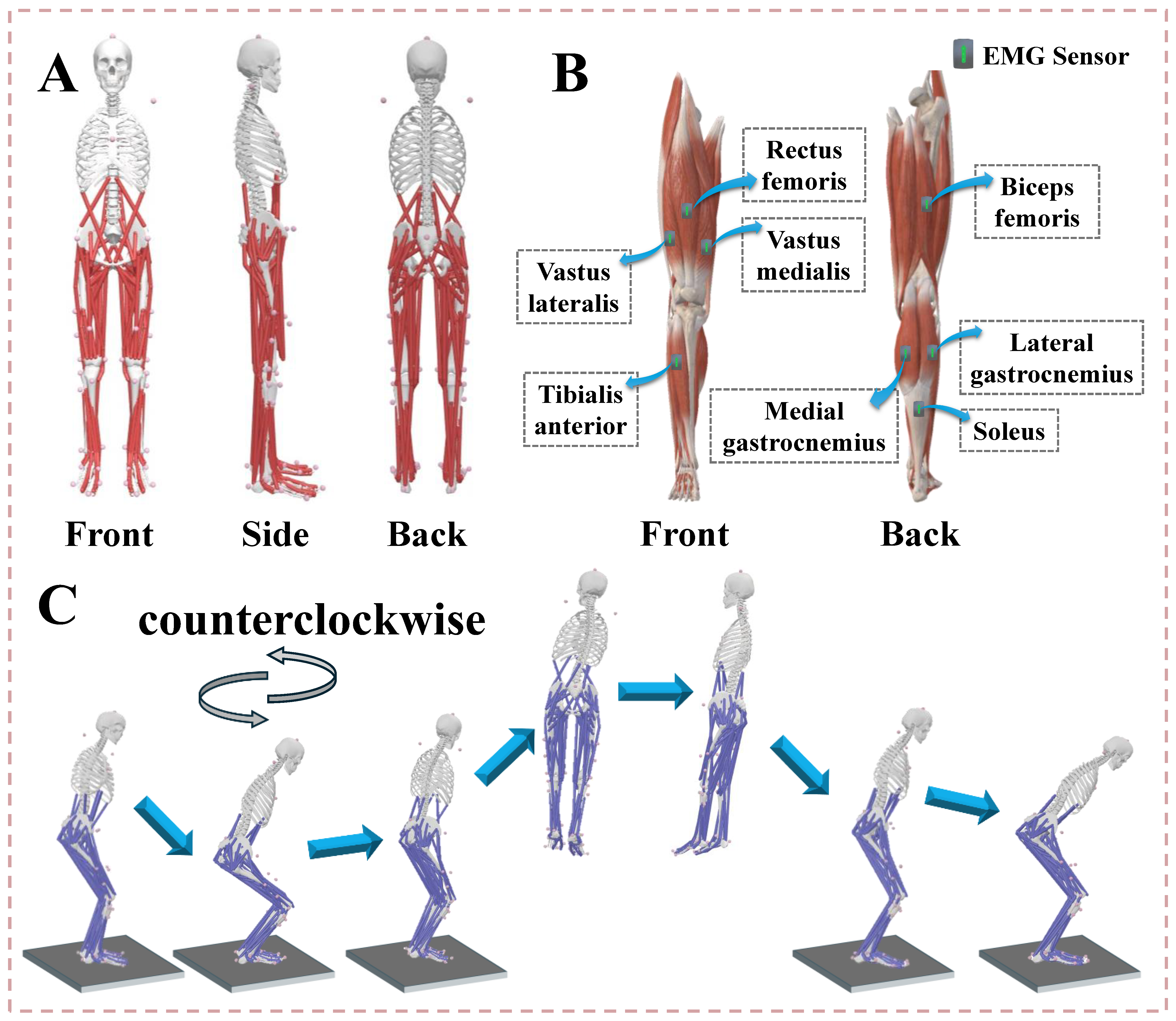 Bioengineering 12 00220 g001
