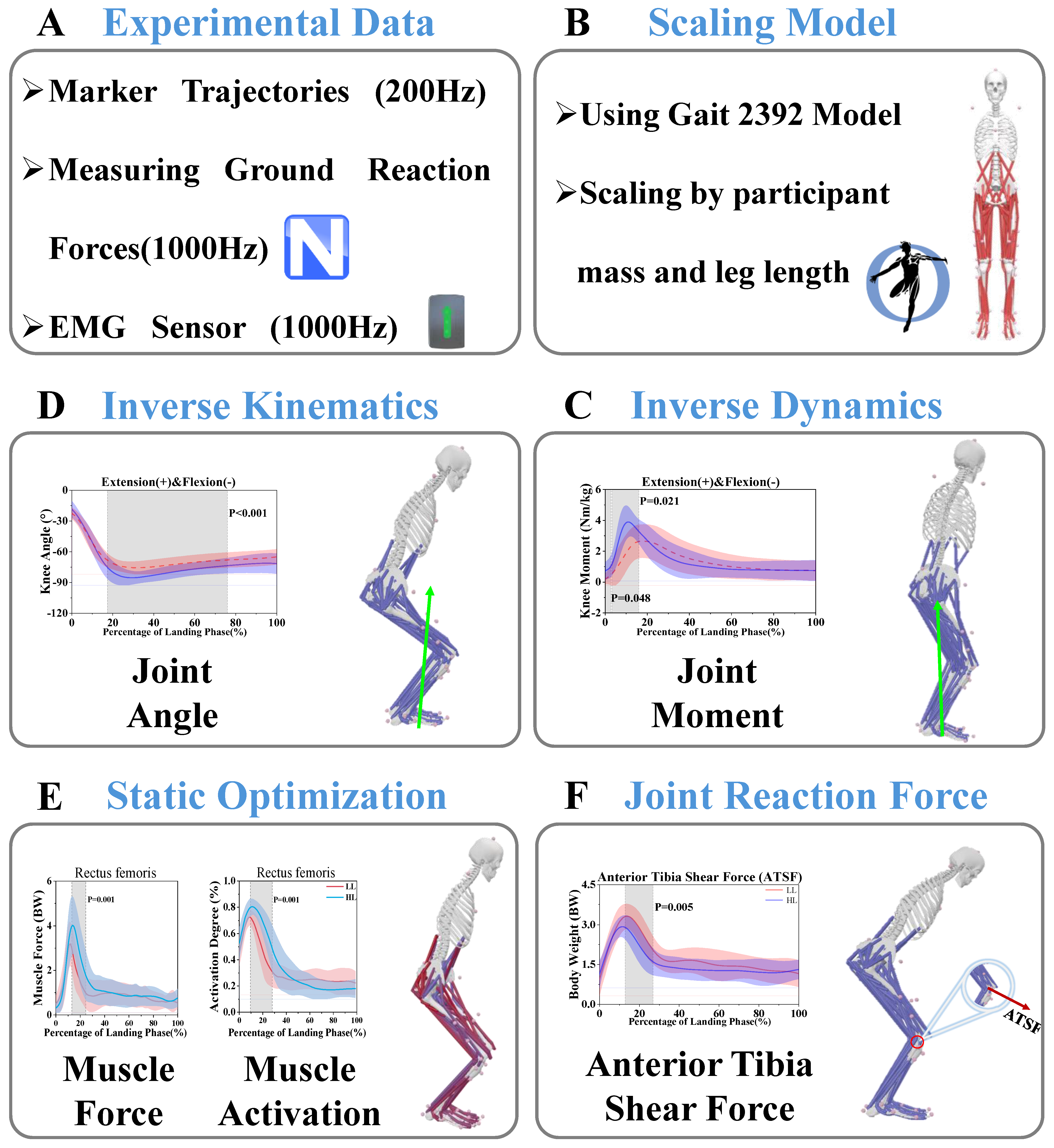 Bioengineering 12 00220 g003