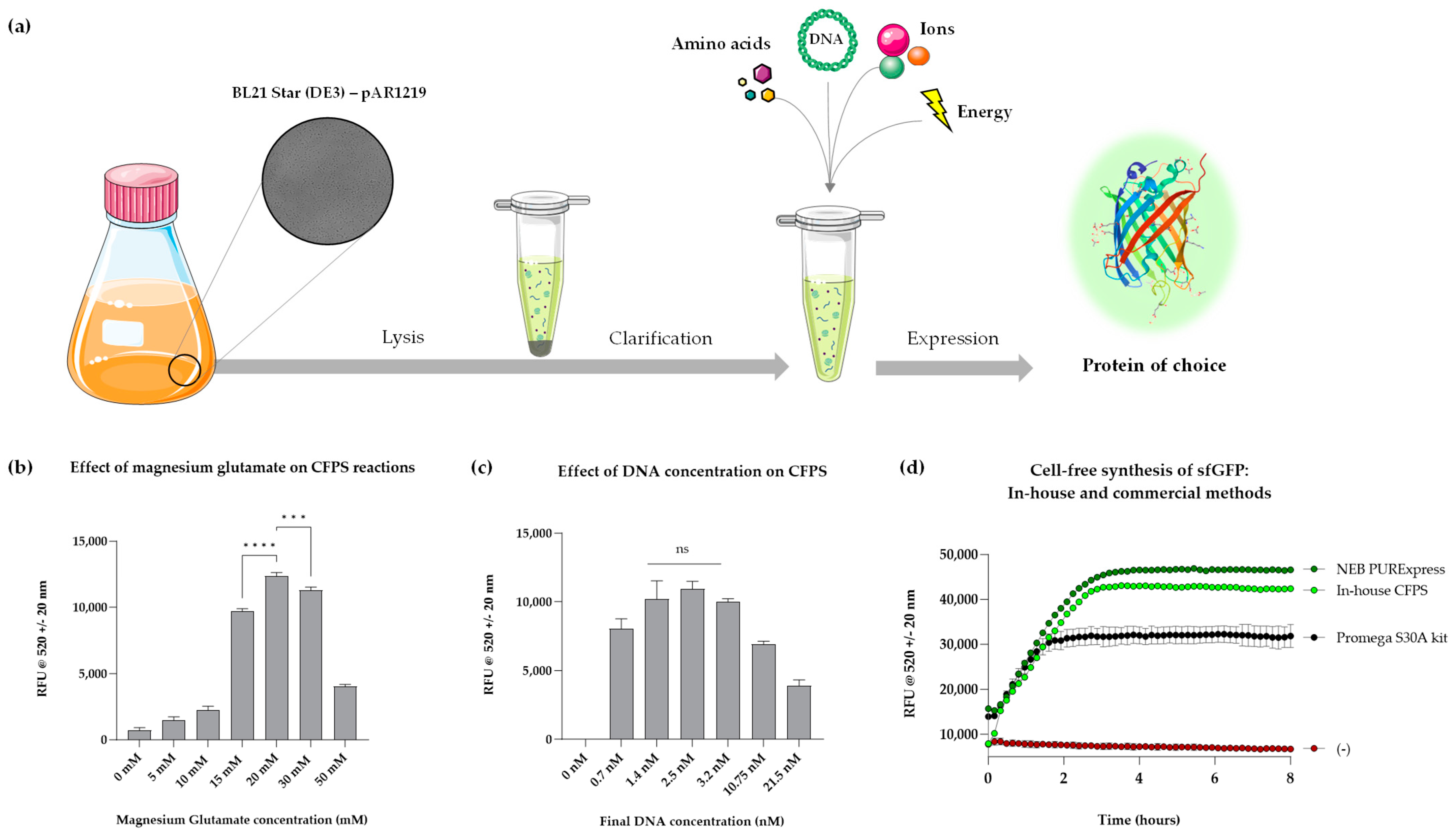 Bioengineering 12 00223 g001