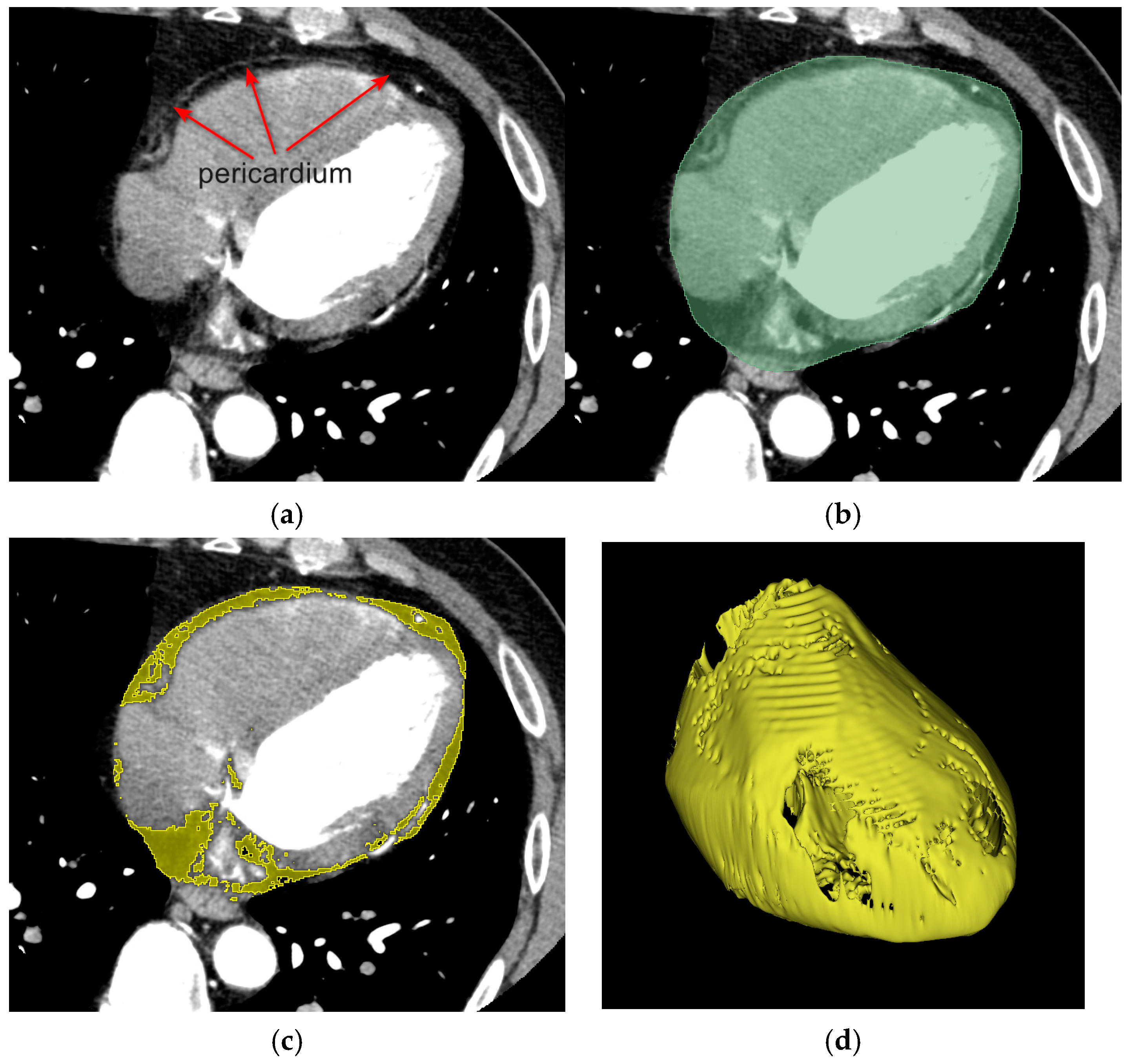 Bioengineering 12 00224 g002