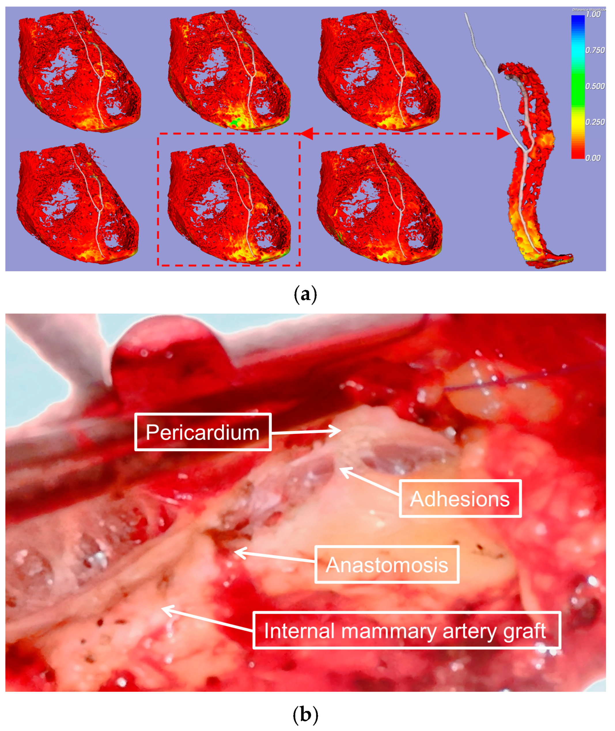 Bioengineering 12 00224 g004