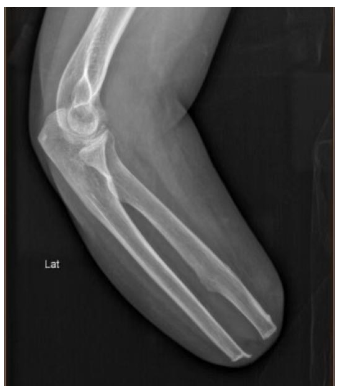 Bioengineering 12 00228 g001