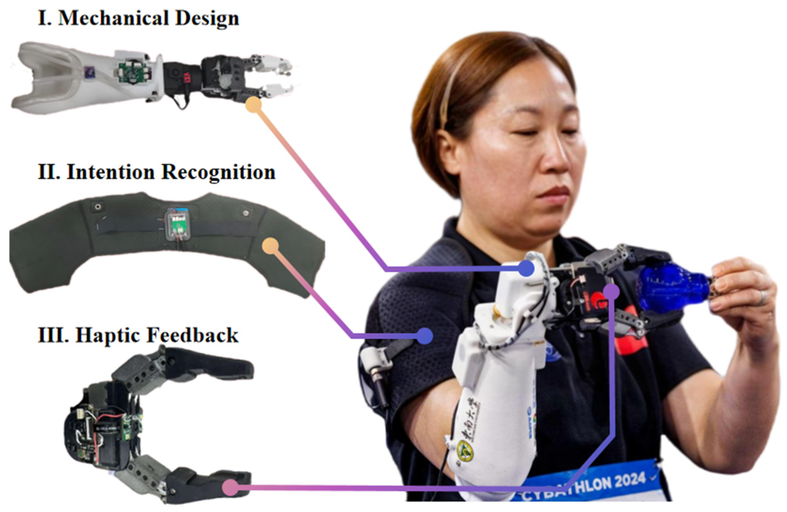 Bioengineering 12 00228 g003