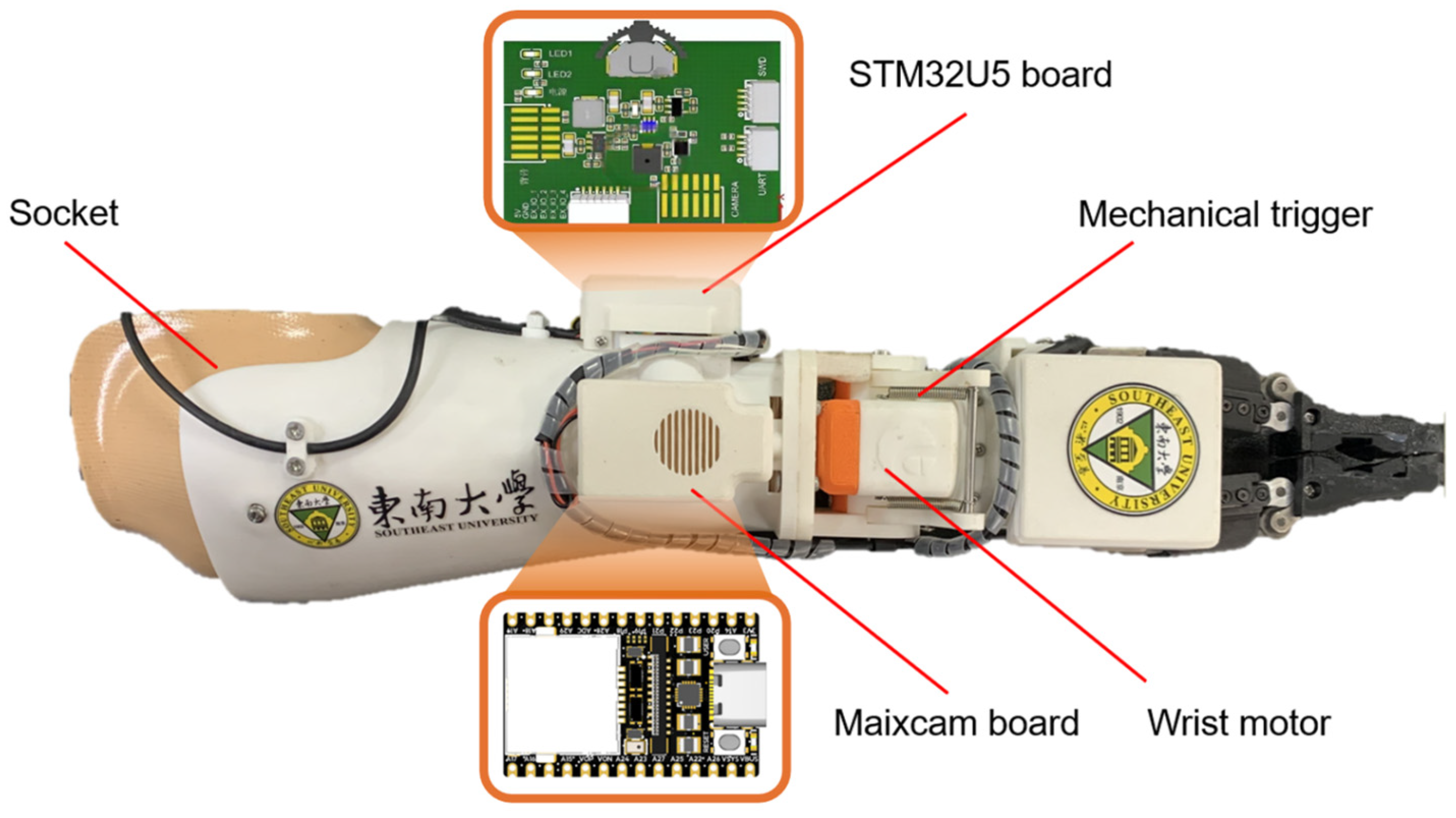 Bioengineering 12 00228 g0a1
