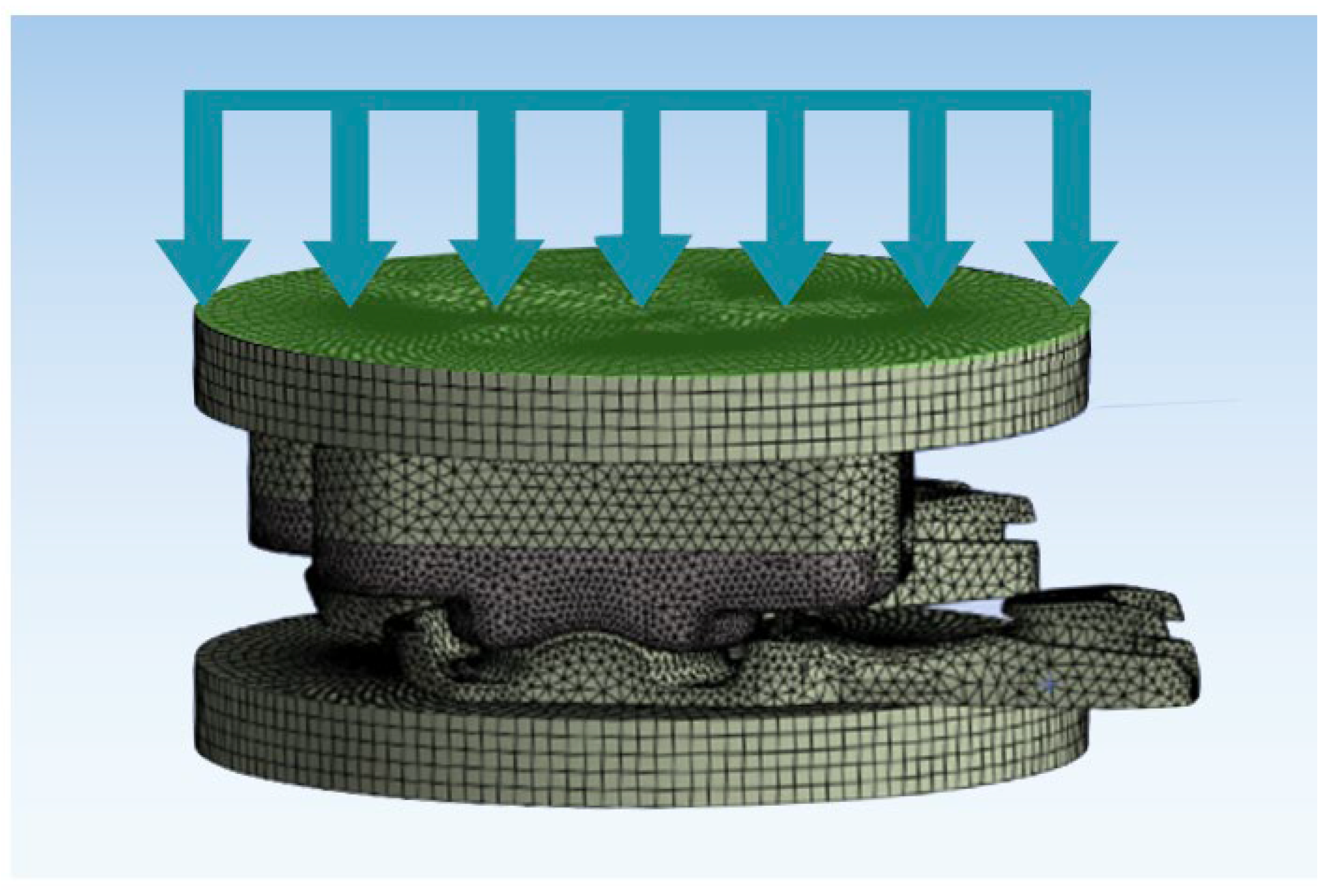 Bioengineering 12 00229 g001
