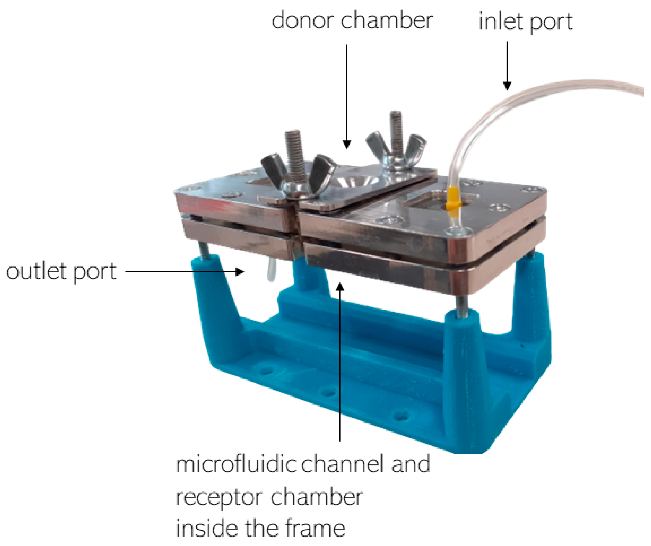 Bioengineering 12 00230 g001