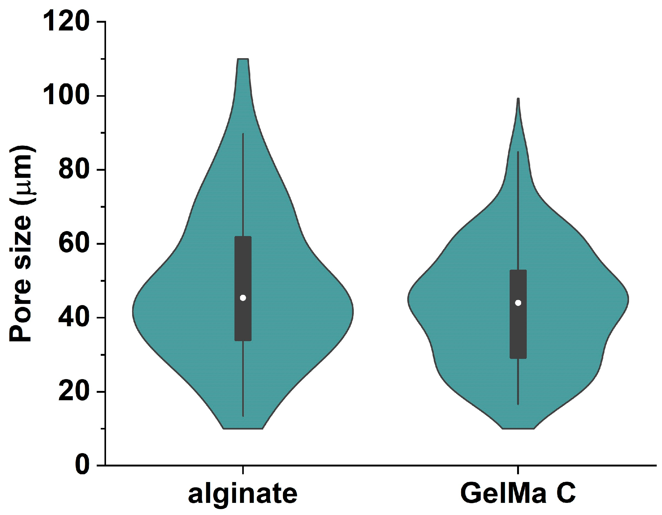 Bioengineering 12 00230 g004