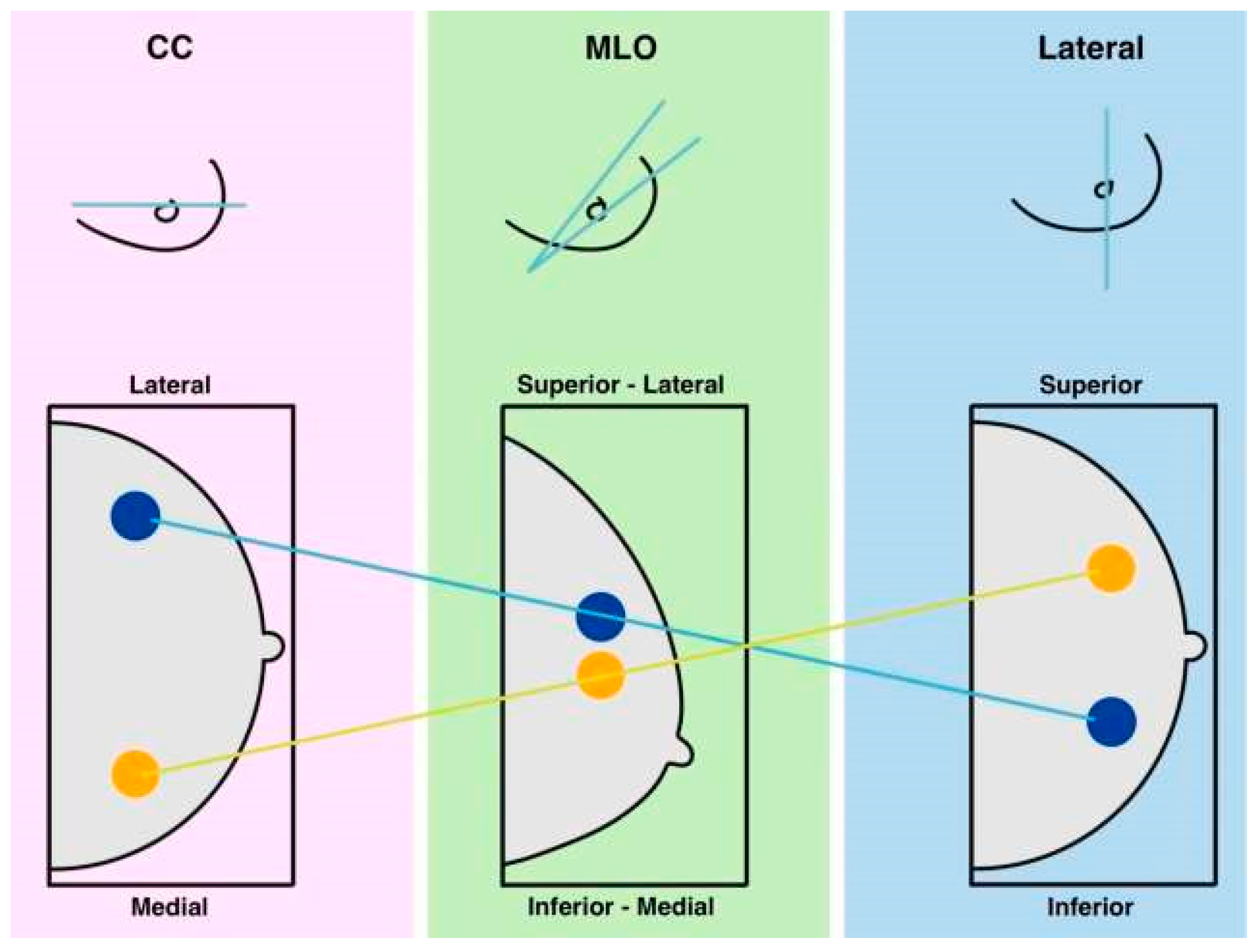 Bioengineering 12 00232 g001