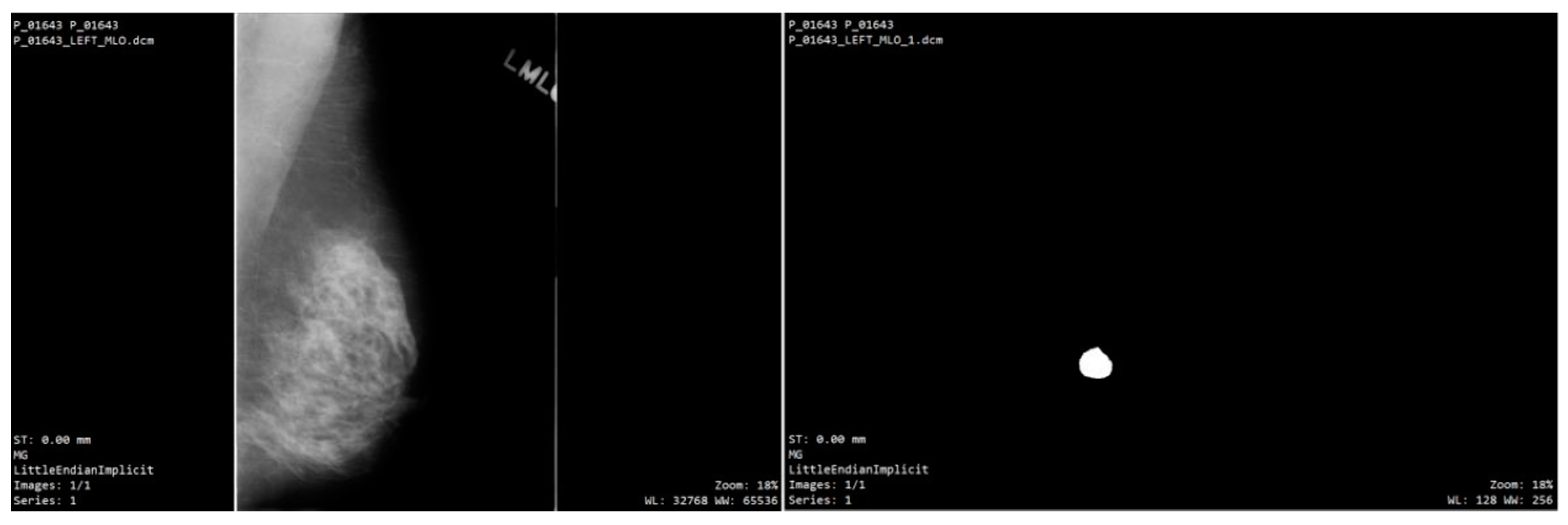 Bioengineering 12 00232 g002