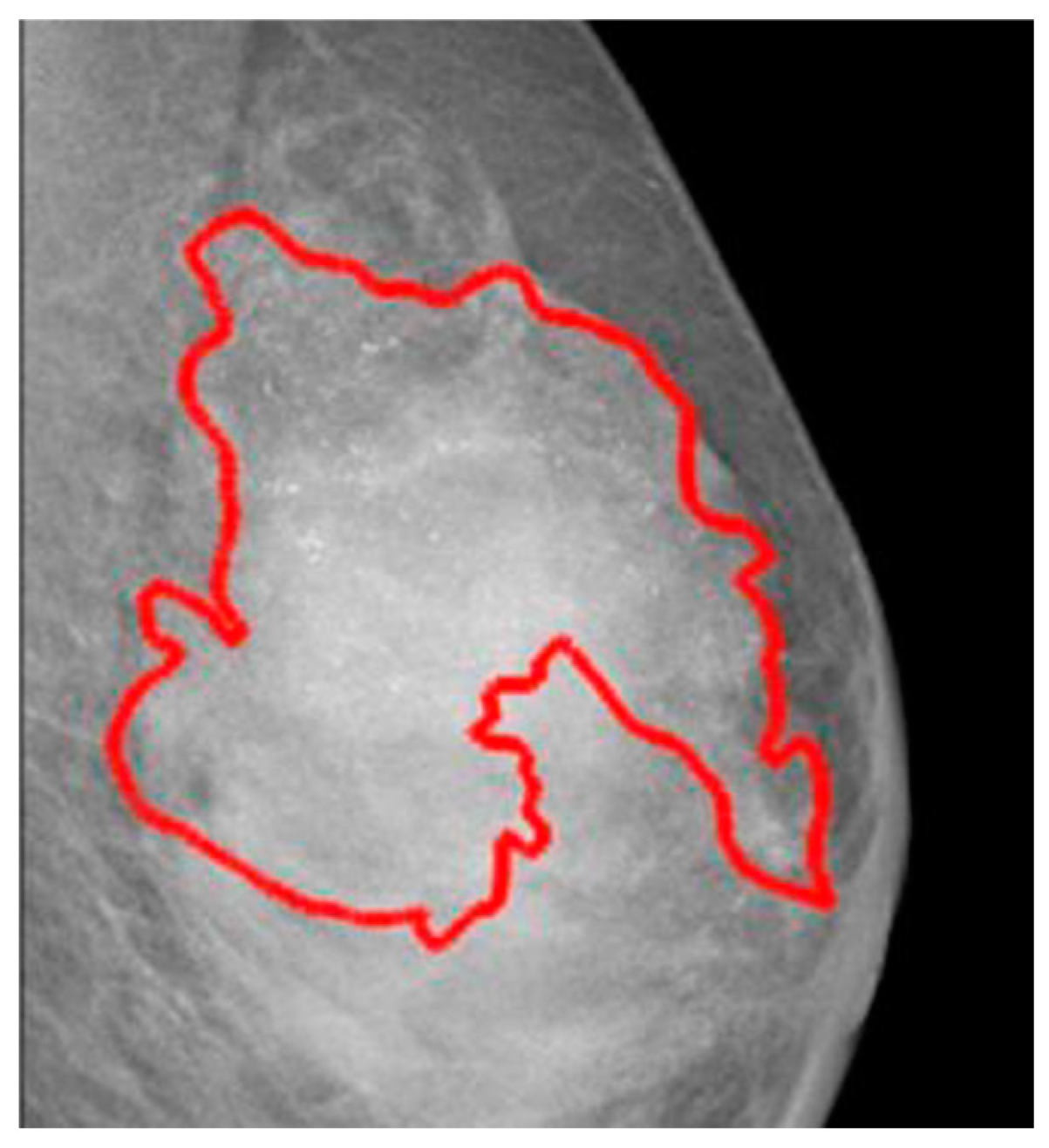Bioengineering 12 00232 g003