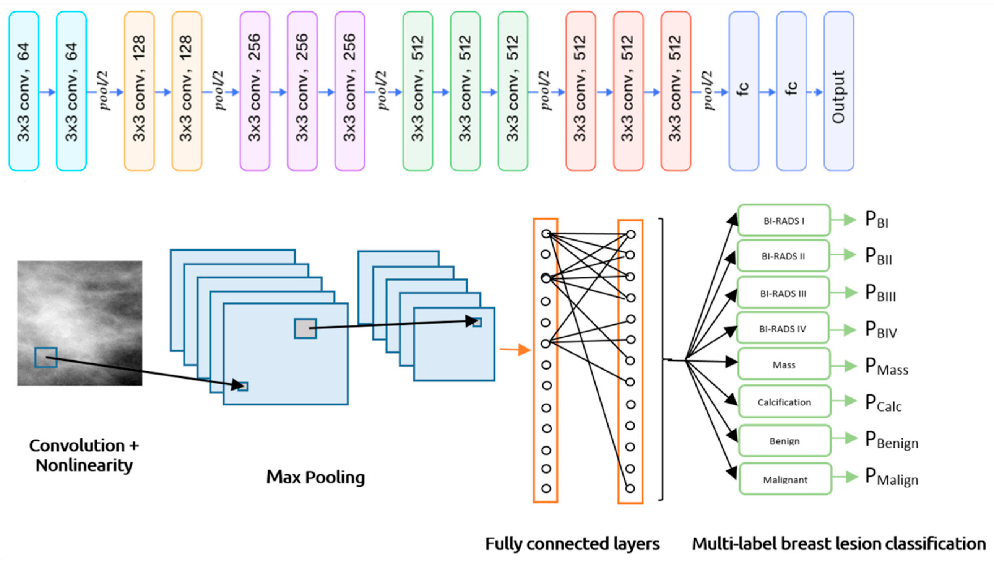 Bioengineering 12 00232 g005
