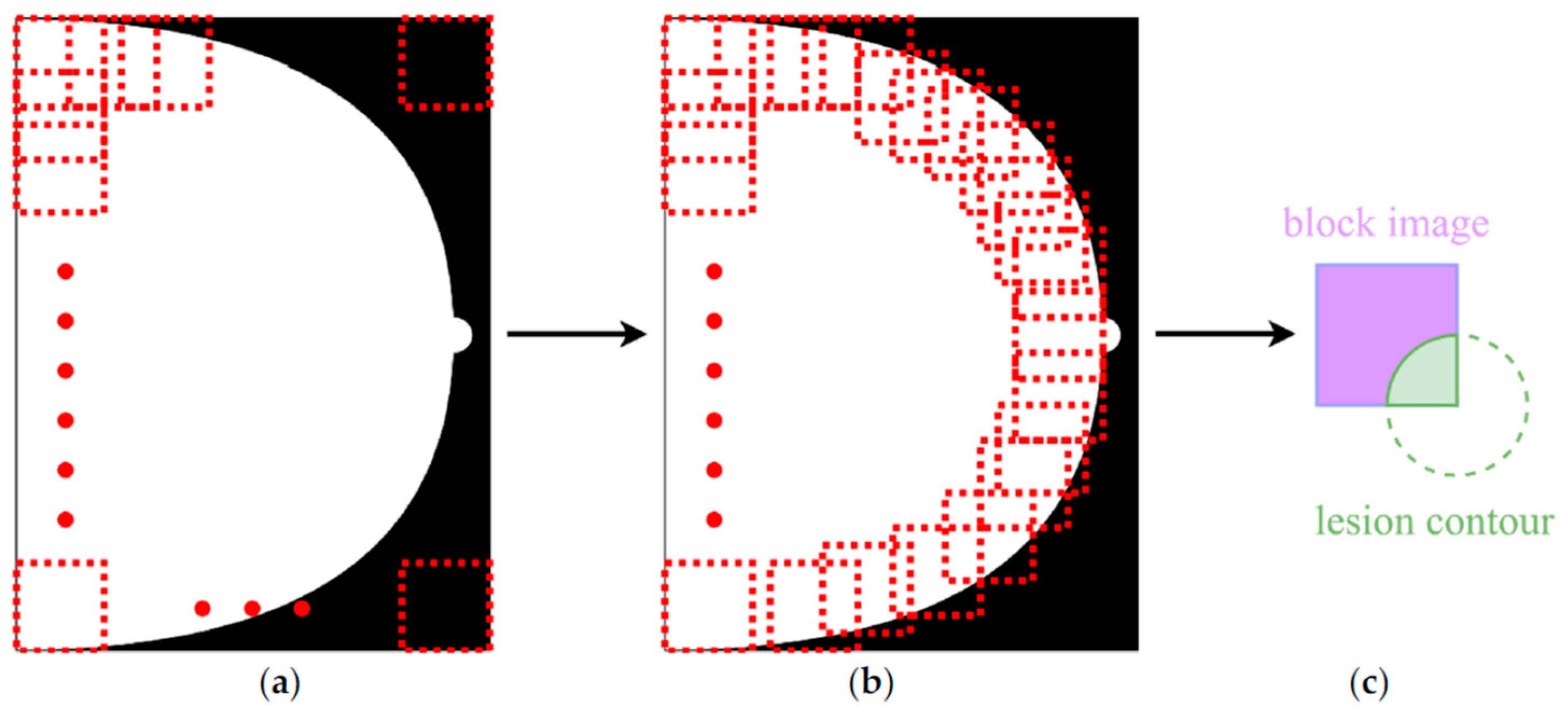Bioengineering 12 00232 g008