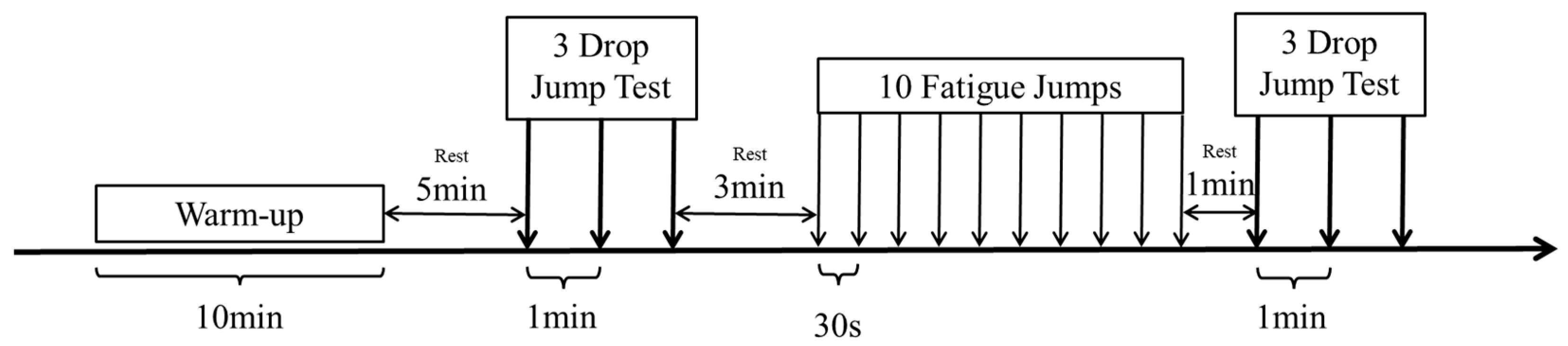 Bioengineering 12 00233 g001