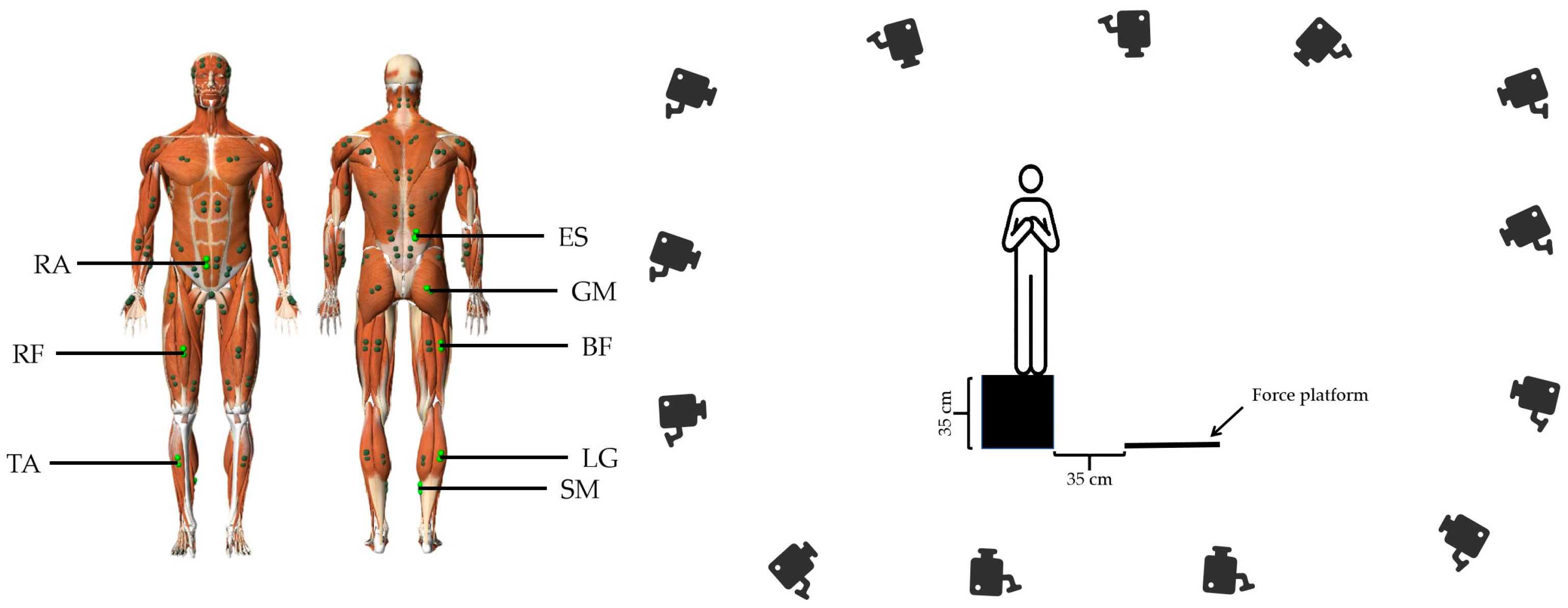 Bioengineering 12 00233 g002