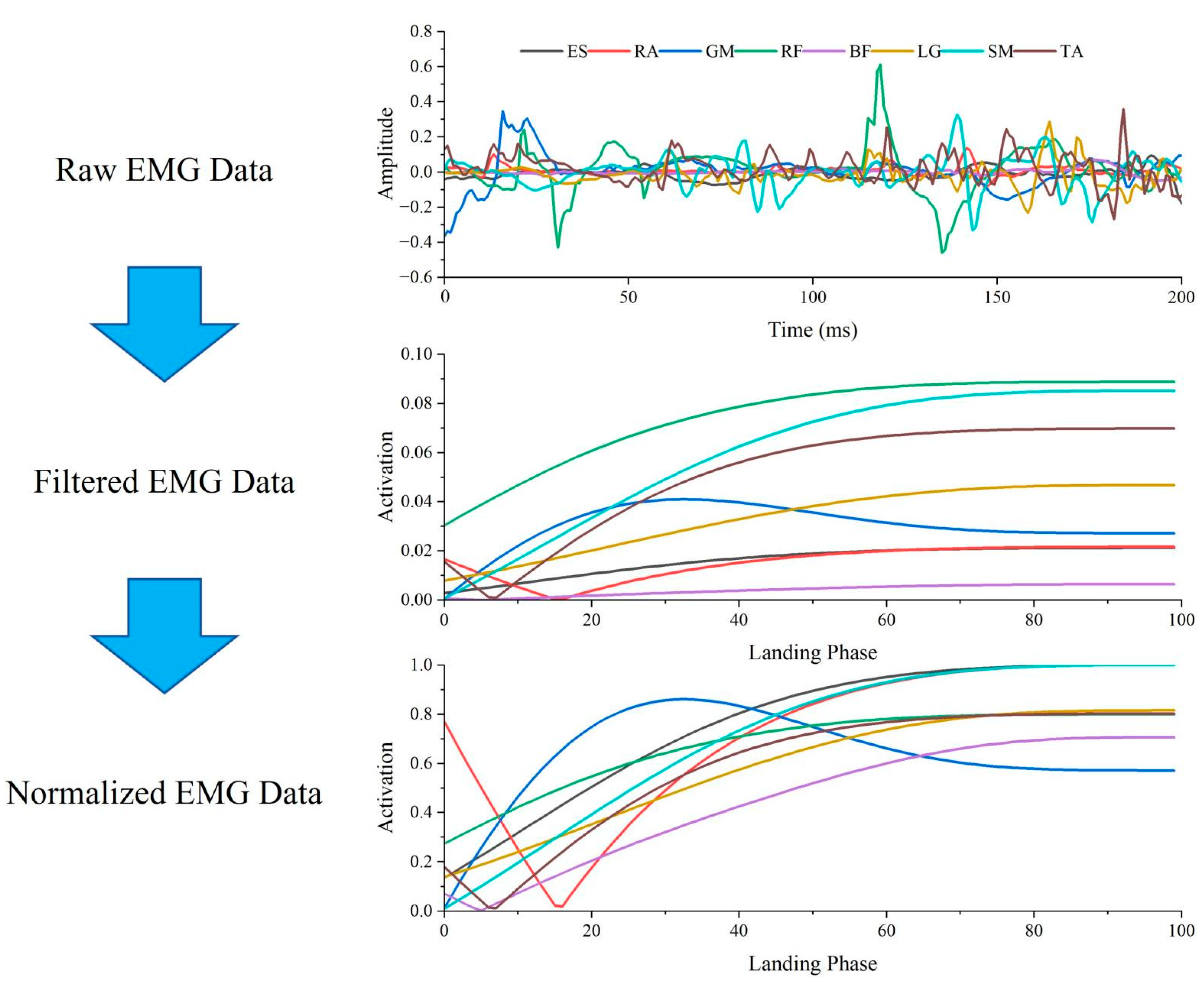 Bioengineering 12 00233 g003