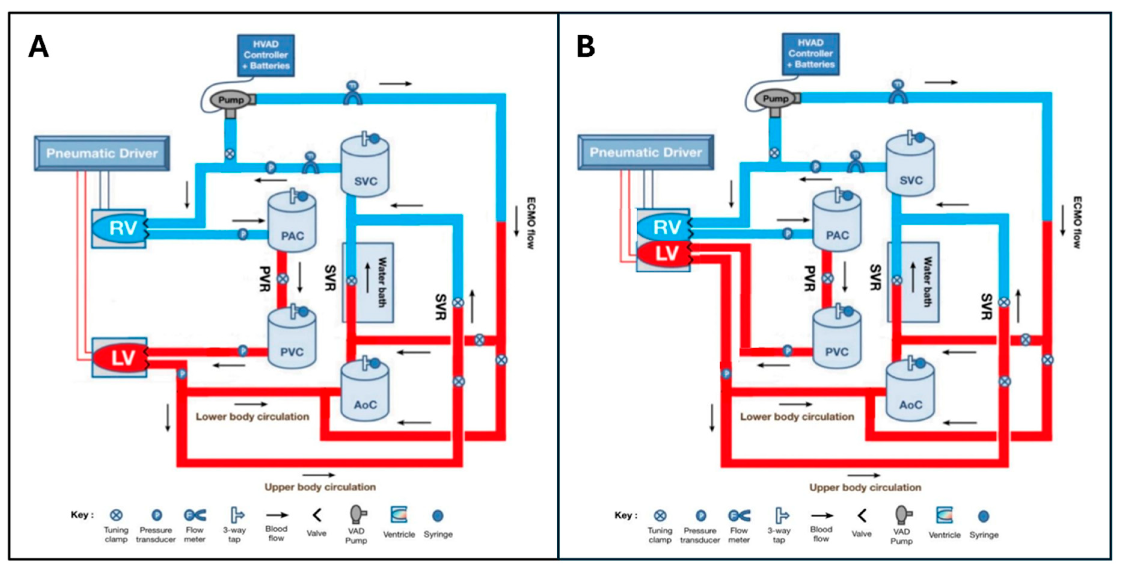 Bioengineering 12 00237 g001