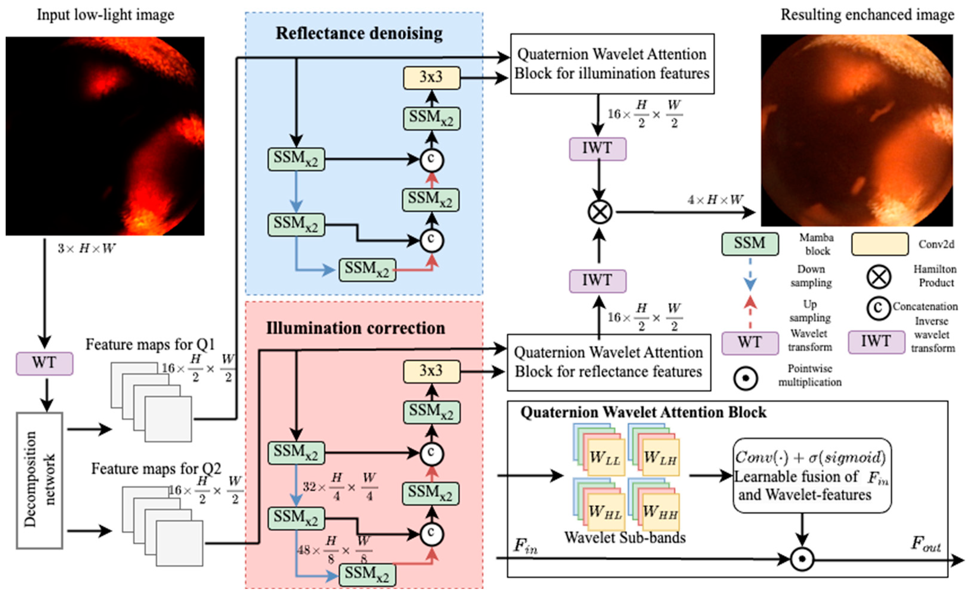 Bioengineering 12 00239 g001