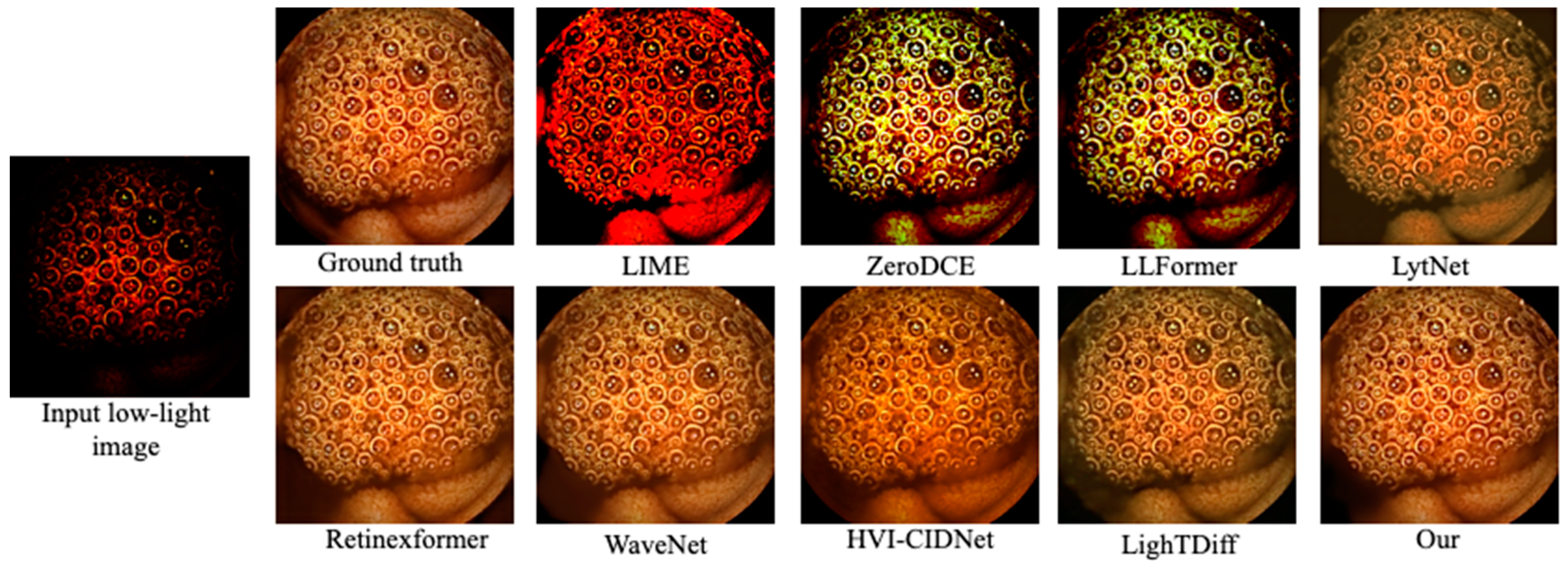 Bioengineering 12 00239 g003