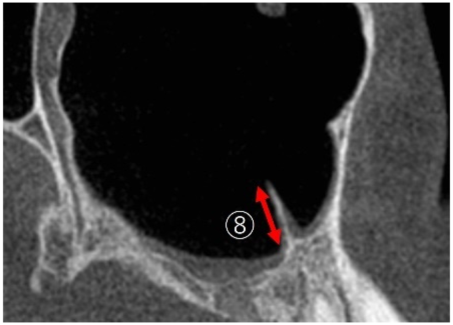 Bioengineering 12 00240 g005