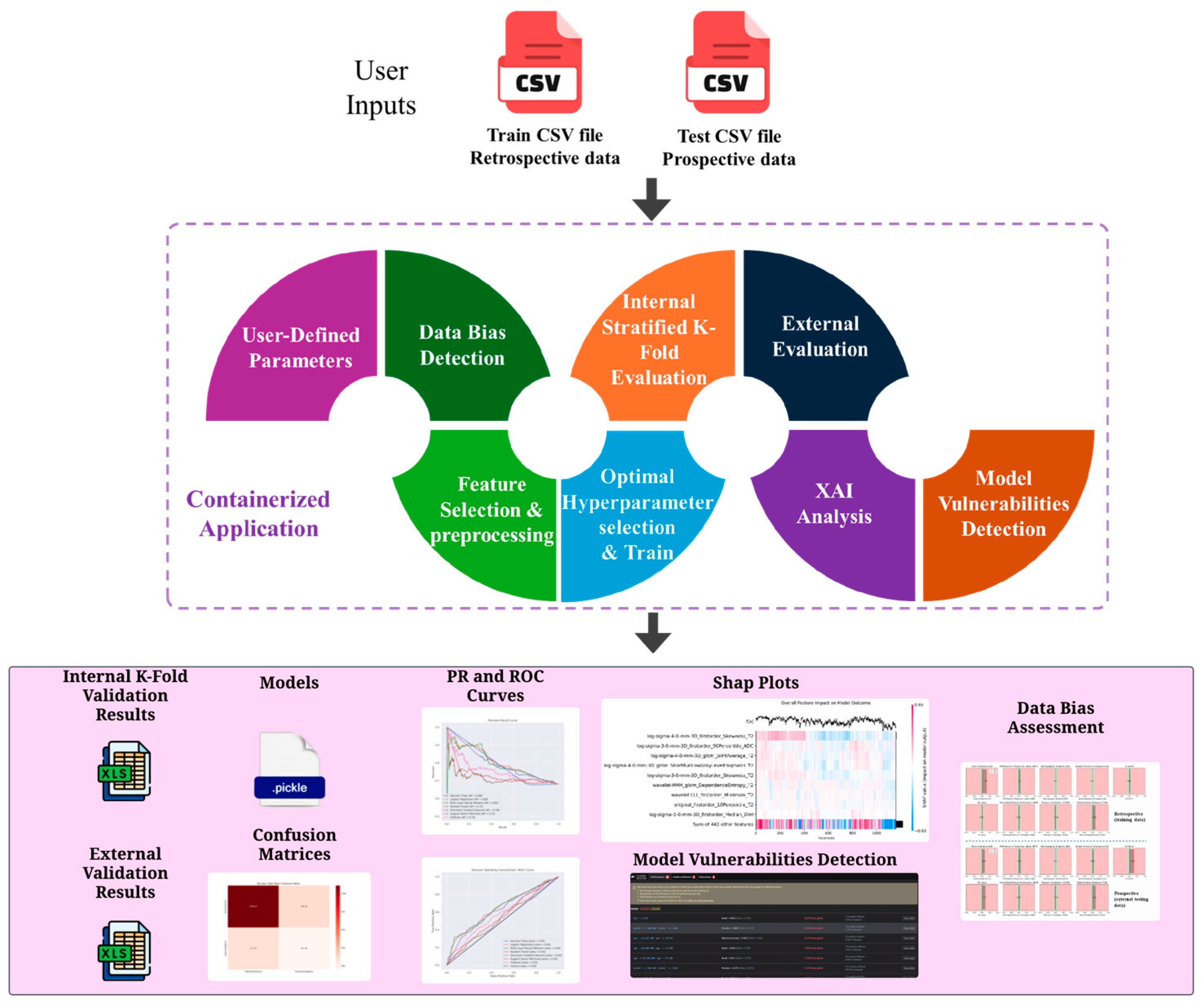 Bioengineering 12 00242 g001