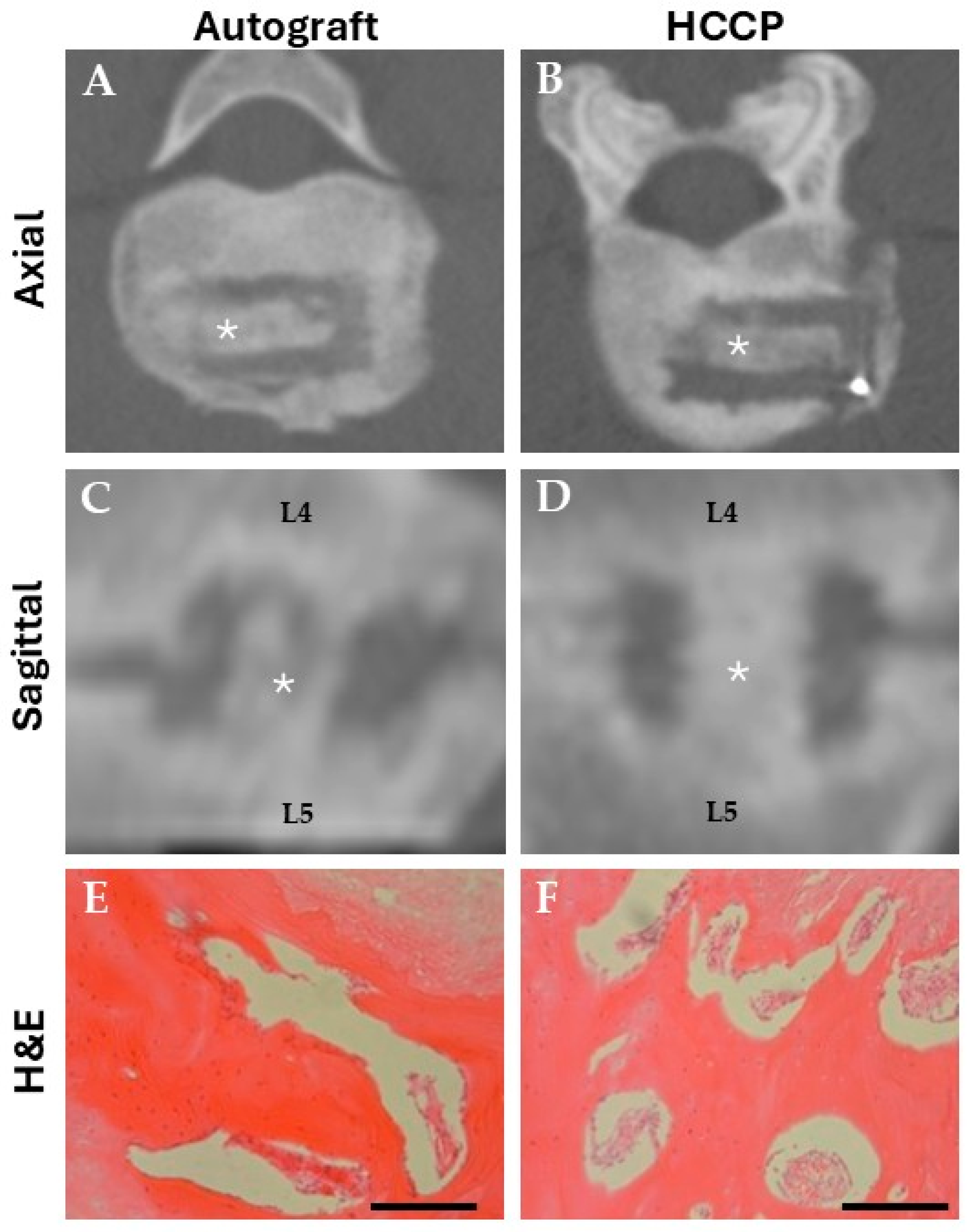 Bioengineering 12 00243 g001
