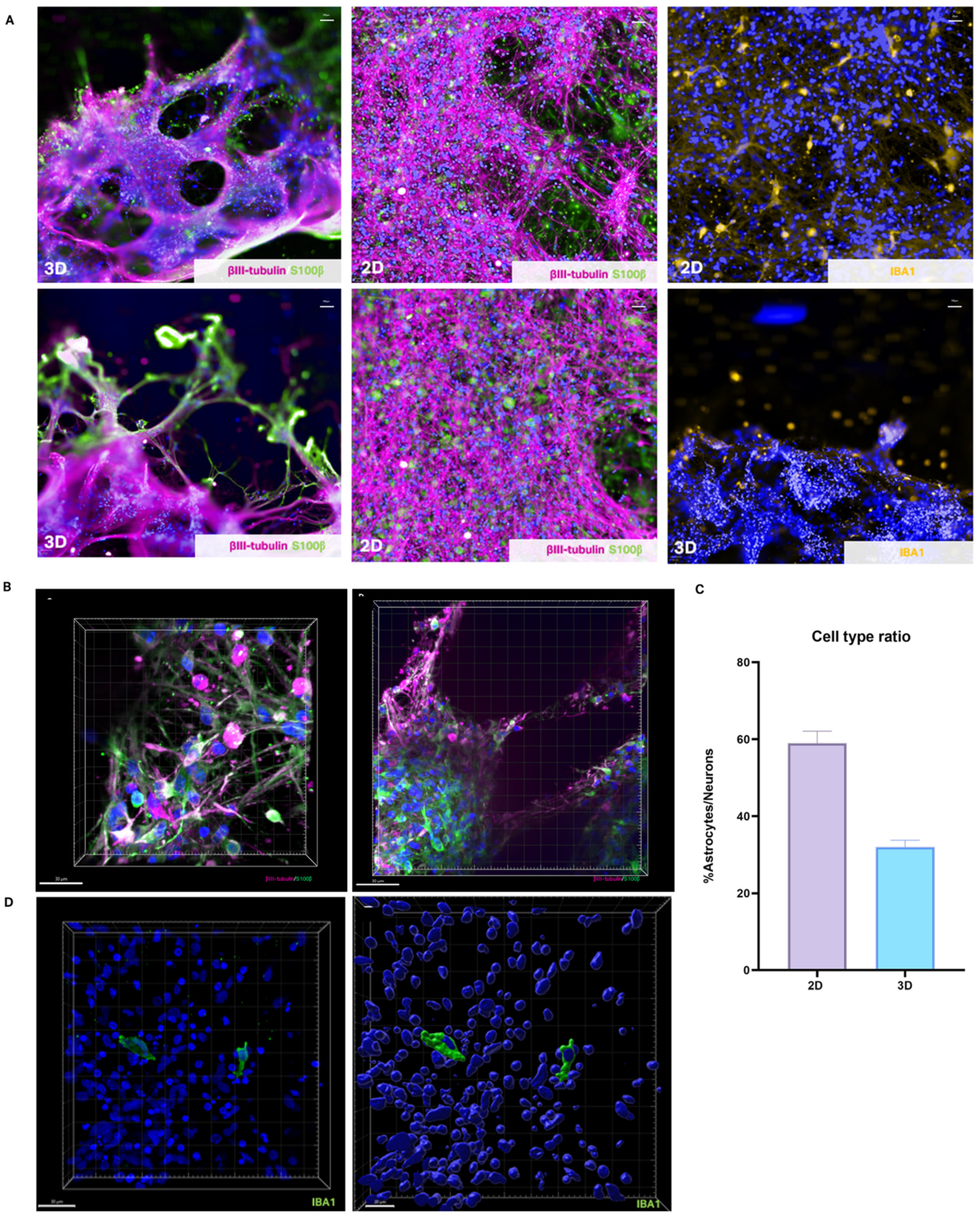 Bioengineering 12 00245 g002