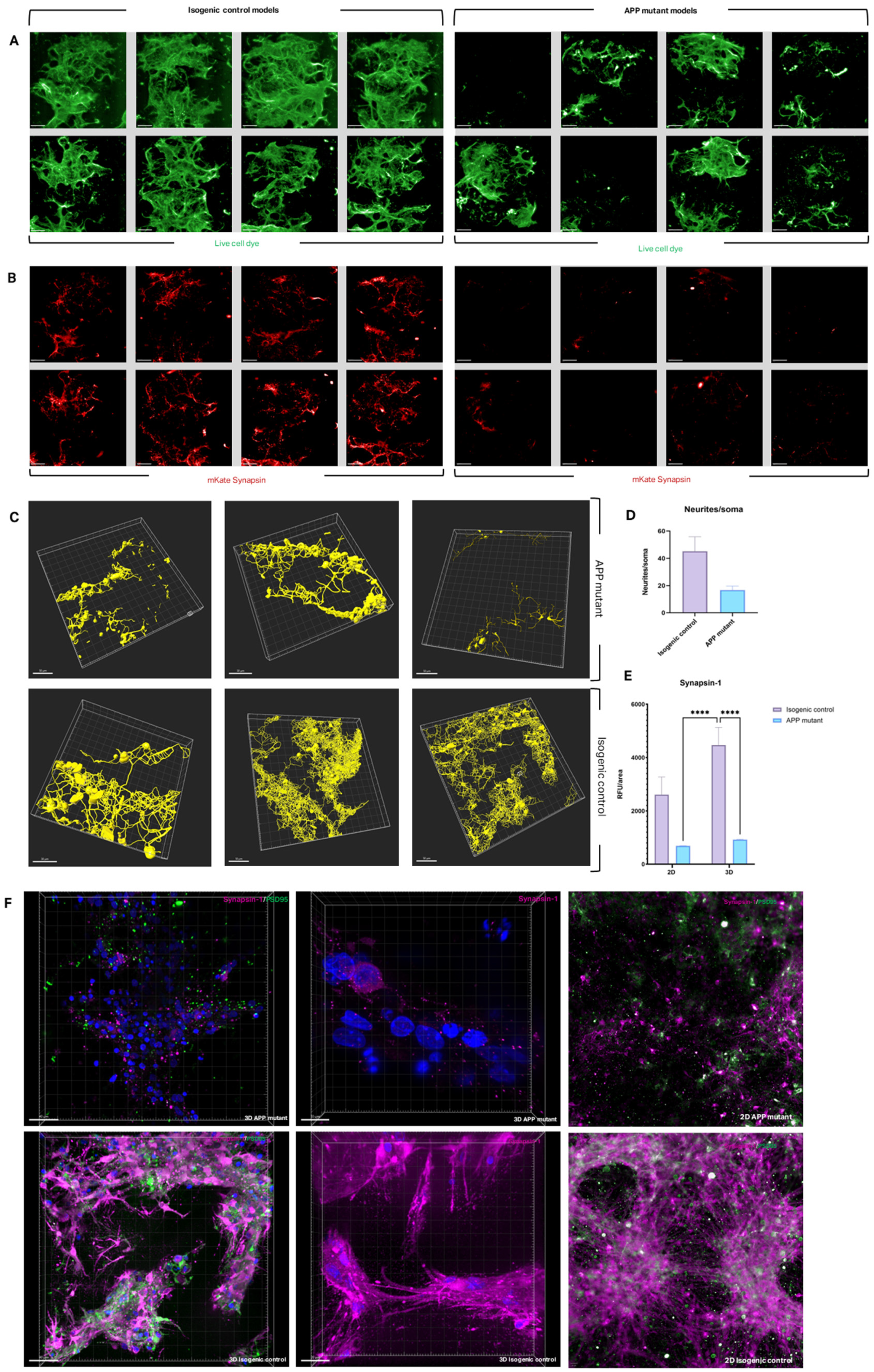 Bioengineering 12 00245 g004