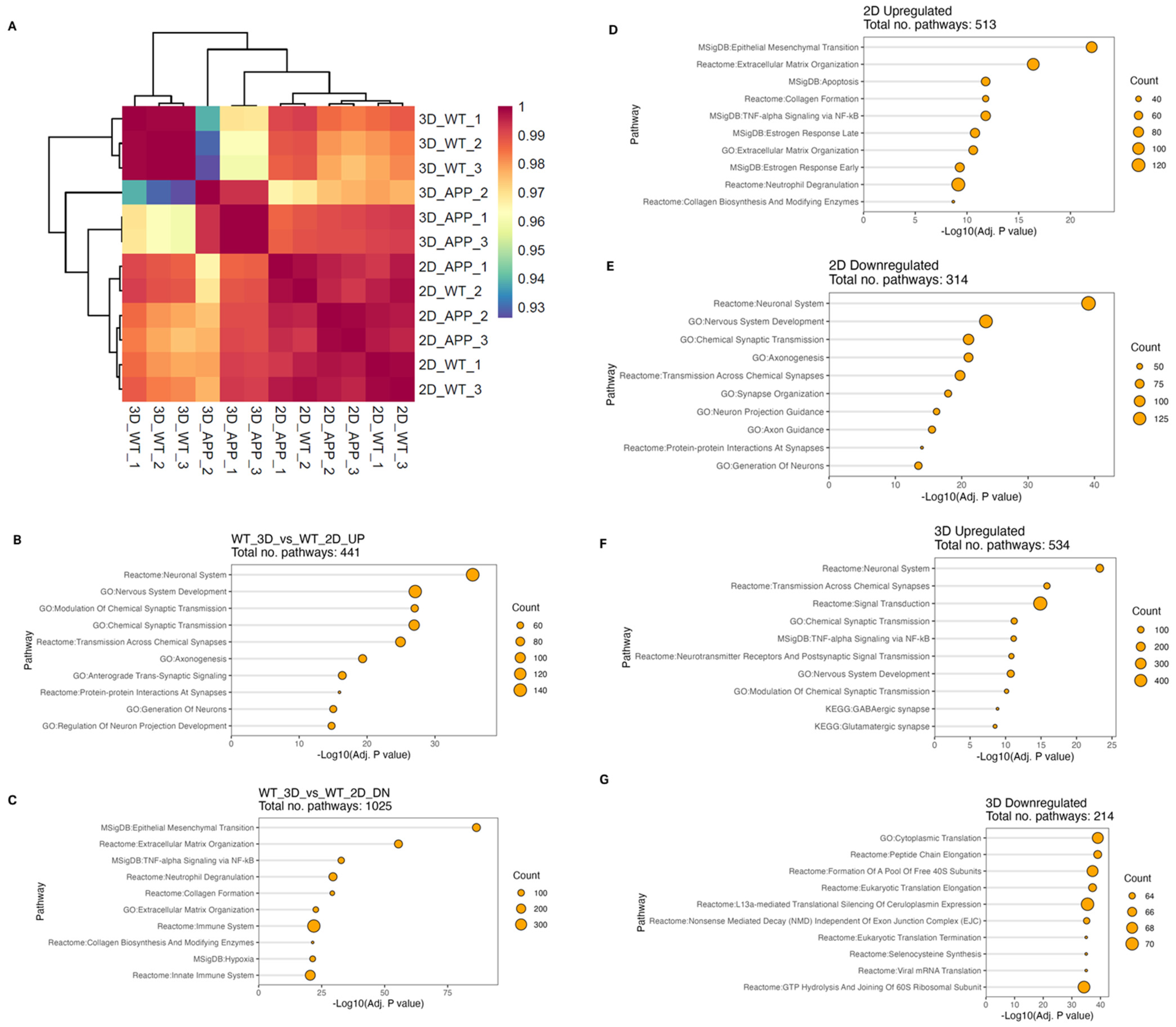 Bioengineering 12 00245 g007